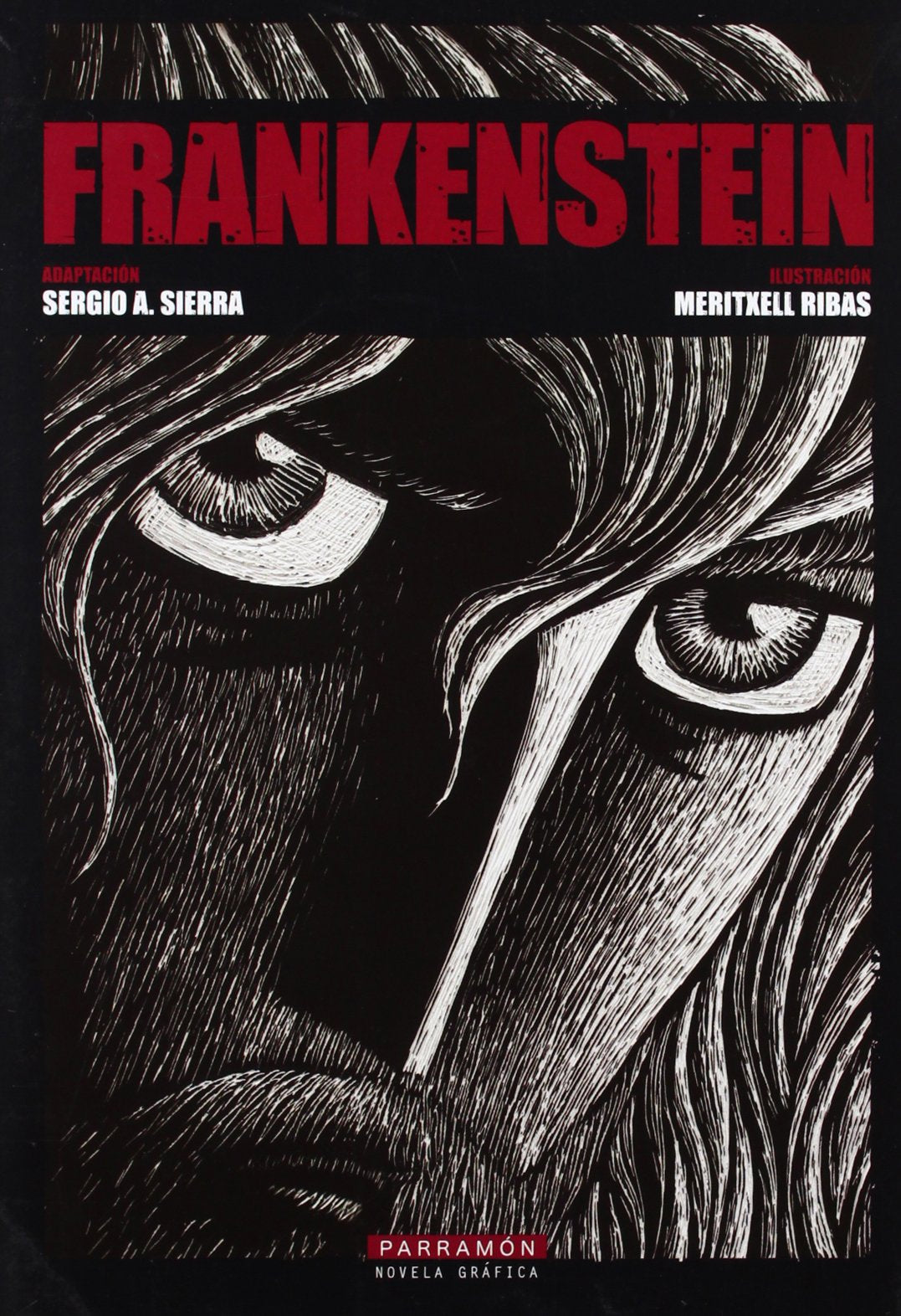 FRANKENSTEIN (Spanish Edition),Used