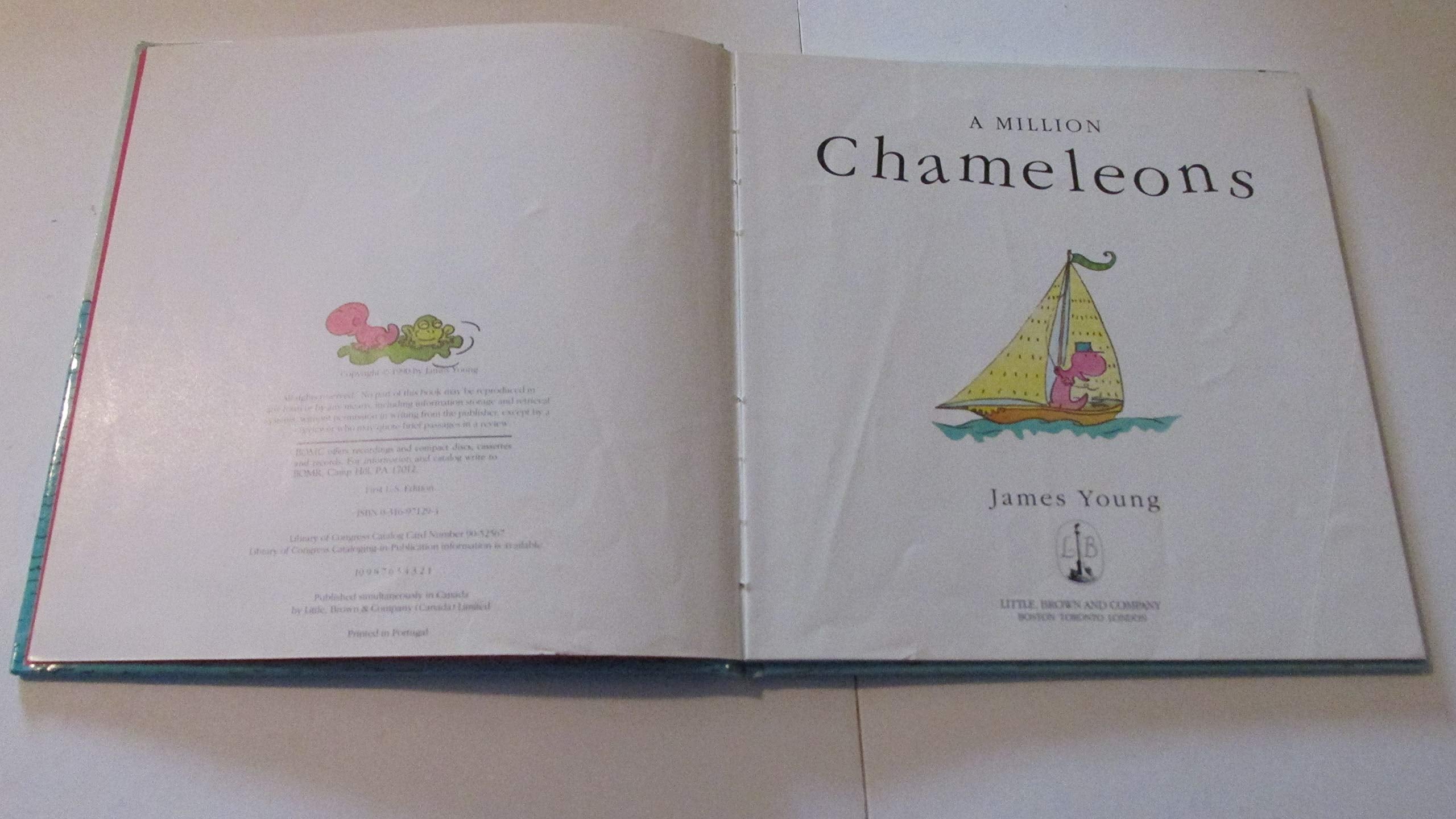 A Million Chameleons,New