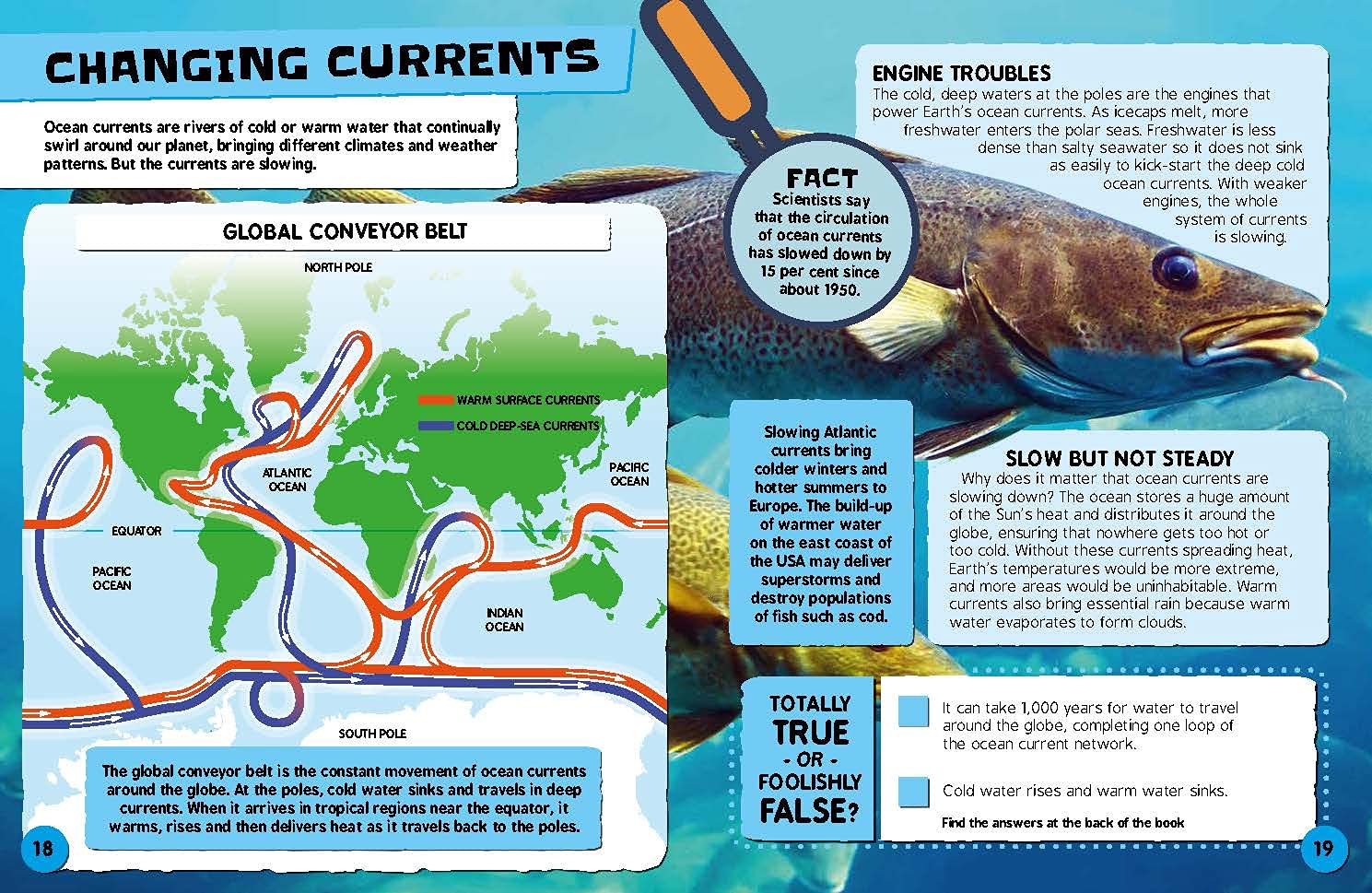 Weird Weather and Changing Climates: What's Happening to Our Planet and How can YOU Help? (Earth Action),Used
