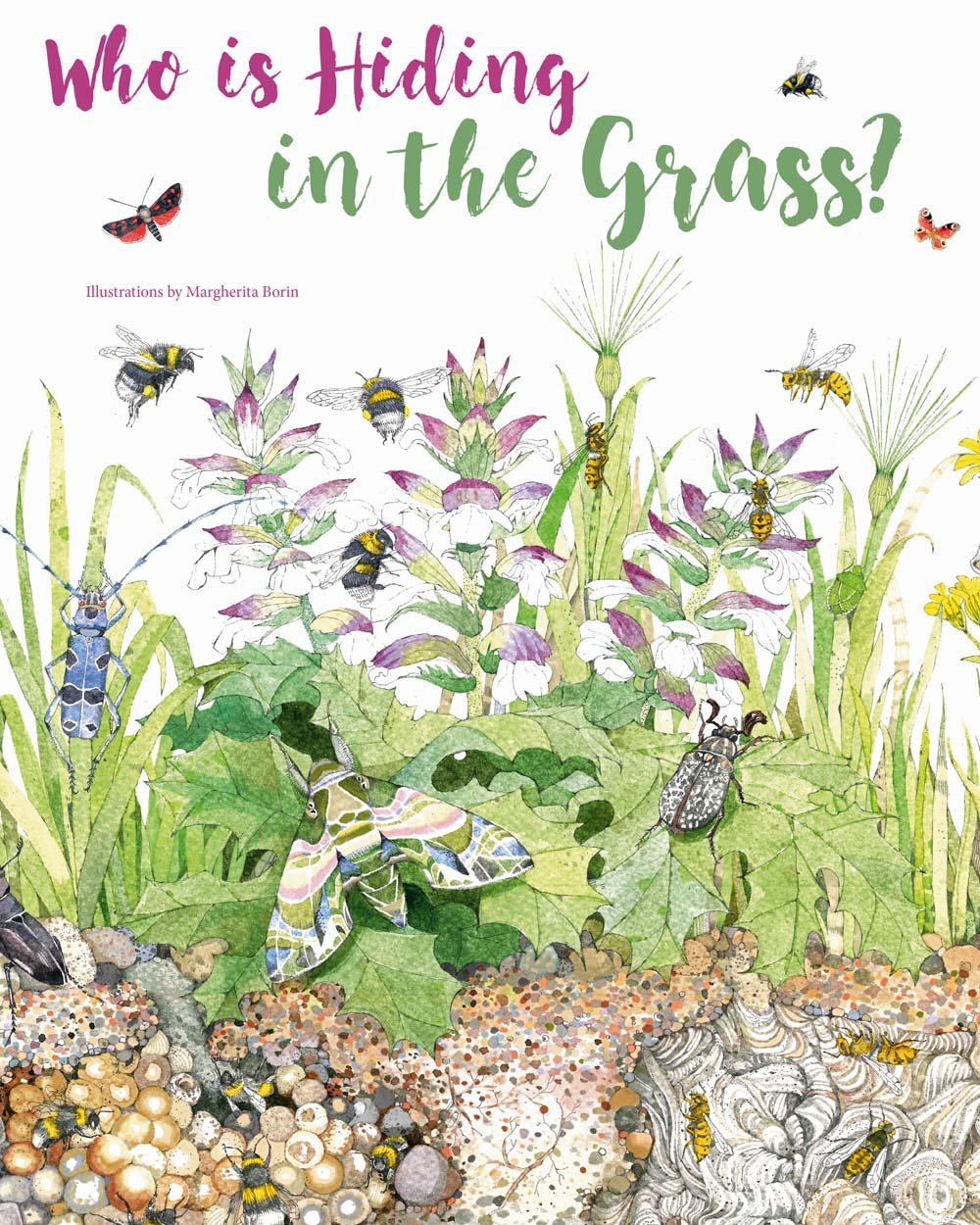 Who Is Hiding In The Grass?
