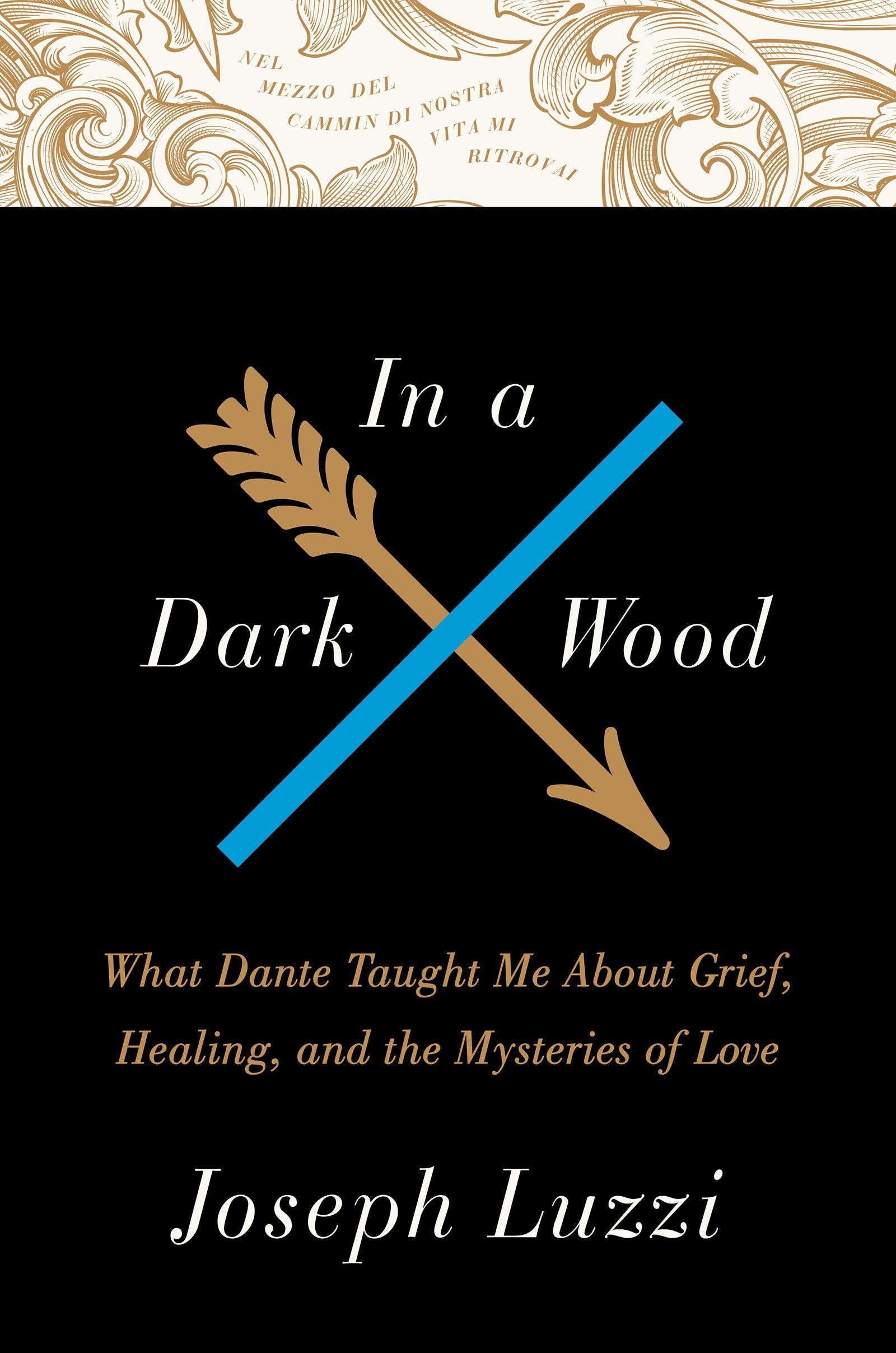 In a Dark Wood: What Dante Taught Me About Grief, Healing, and the Mysteries of Love,Used