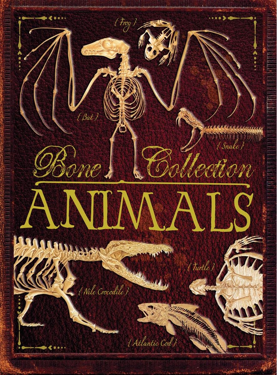 Bone Collection: Animals,New