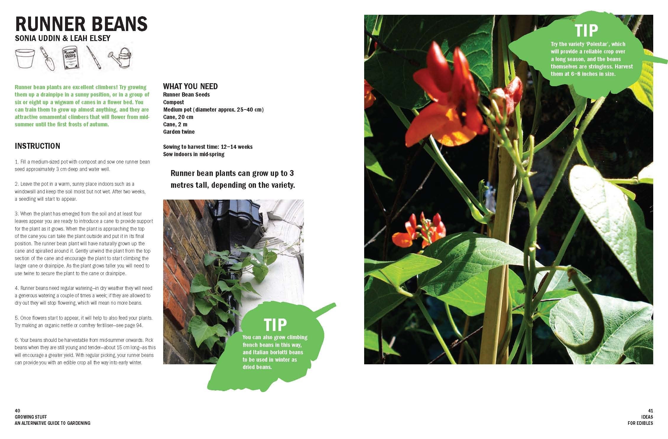 Growing Stuff: An Alternative Guide to Gardening,Used