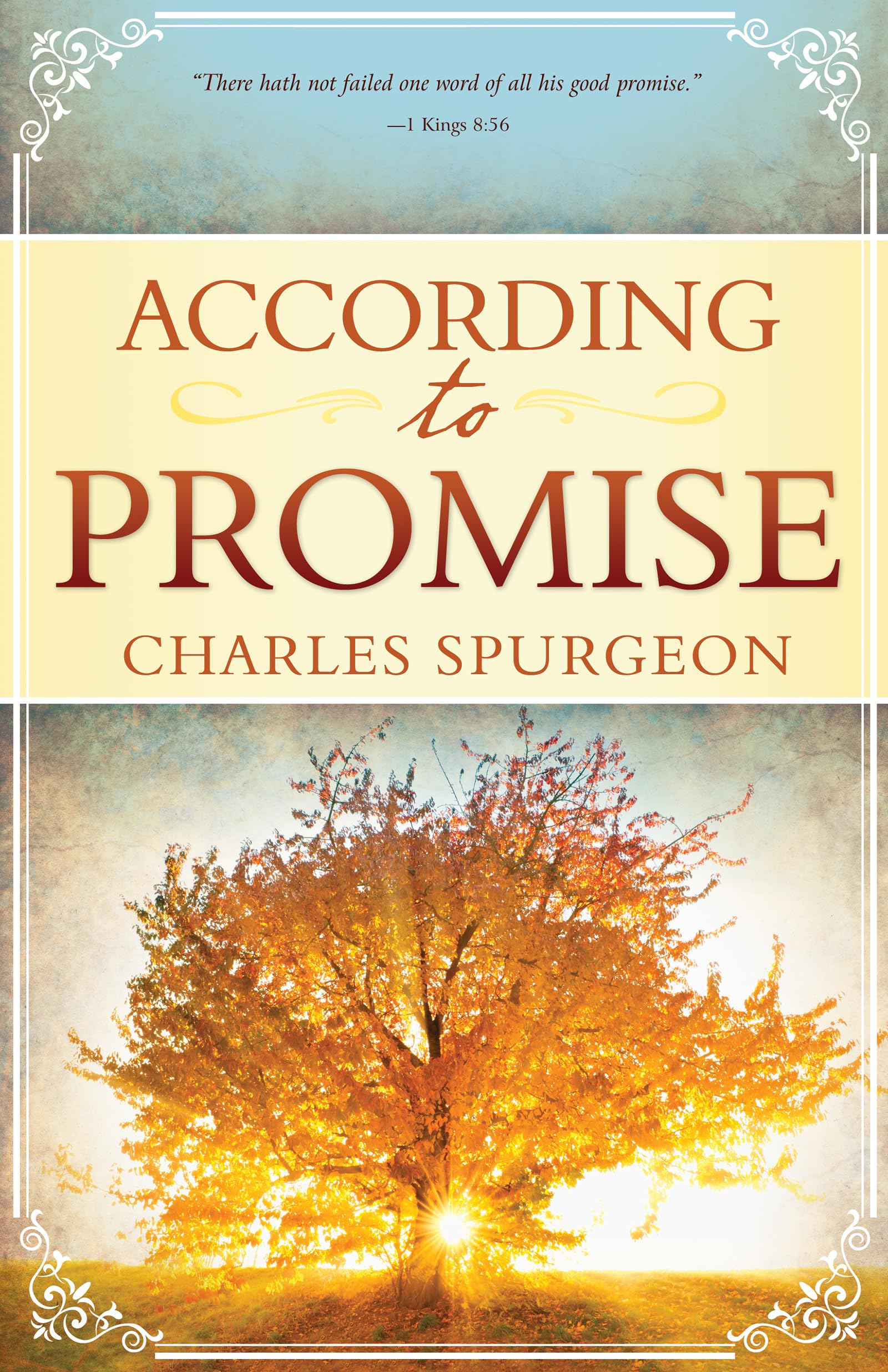 According To Promise,Used