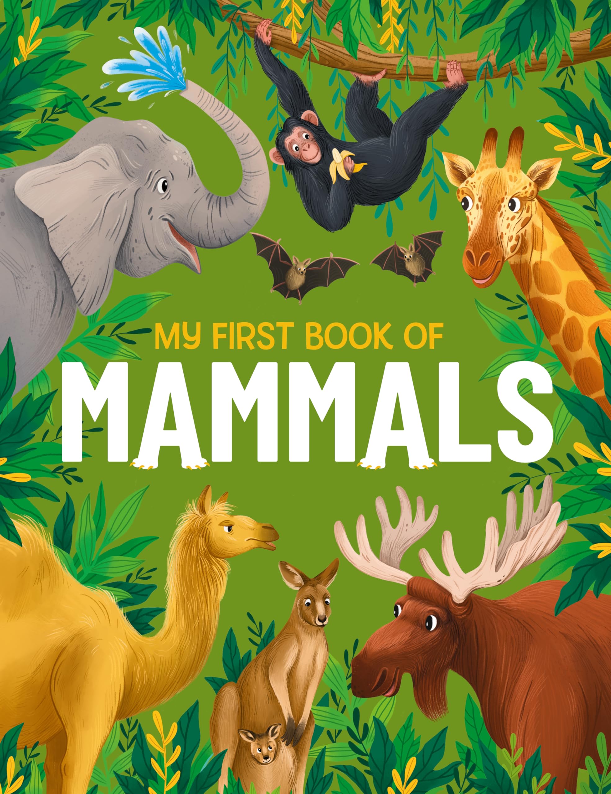 My First Book of Mammals: An Awesome First Look at Mammals from Around the World (My First Book of..., 3),New