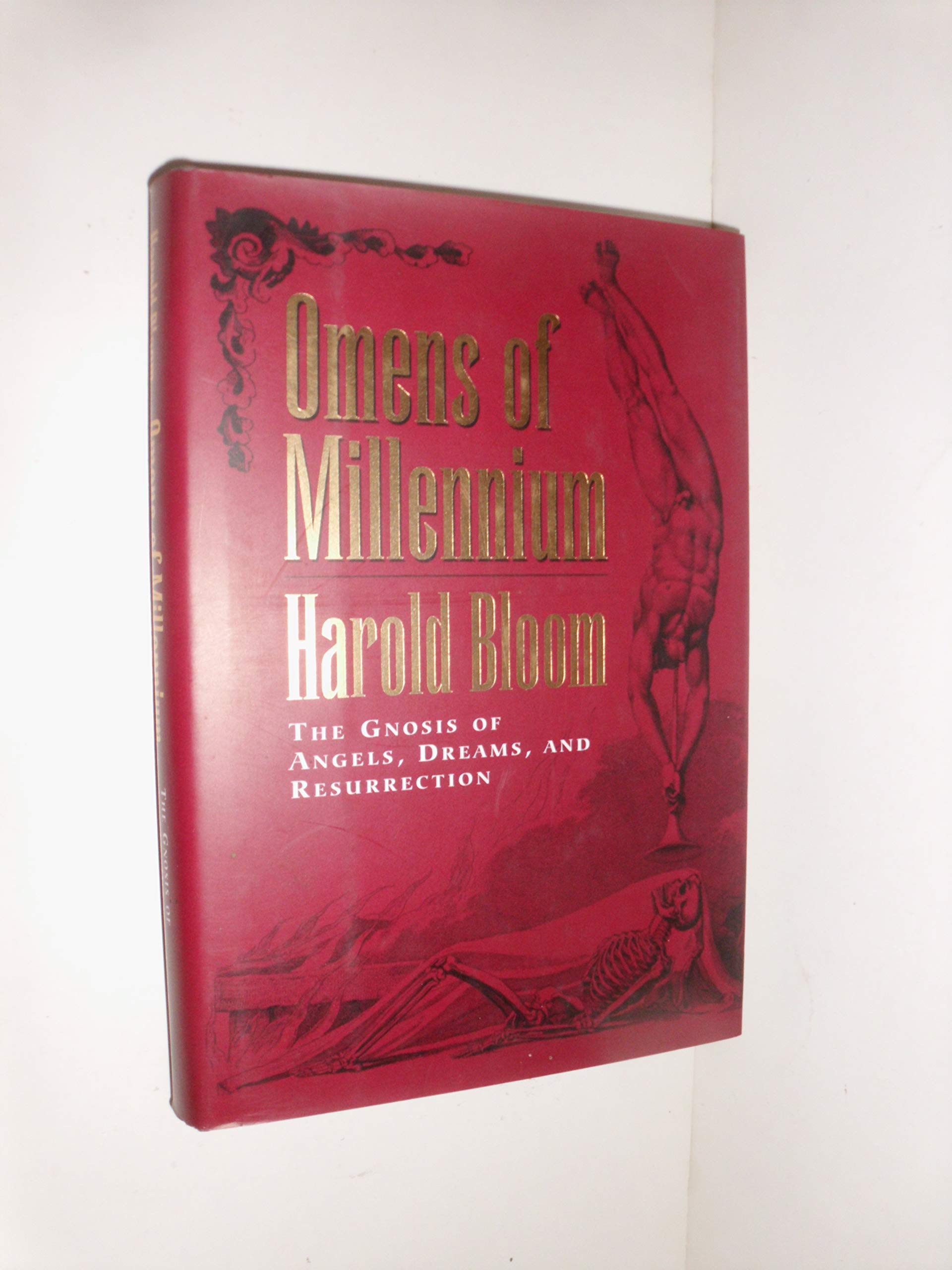 Omens of Millennium: The Gnosis of Angels, Dreams, and Resurrection,New