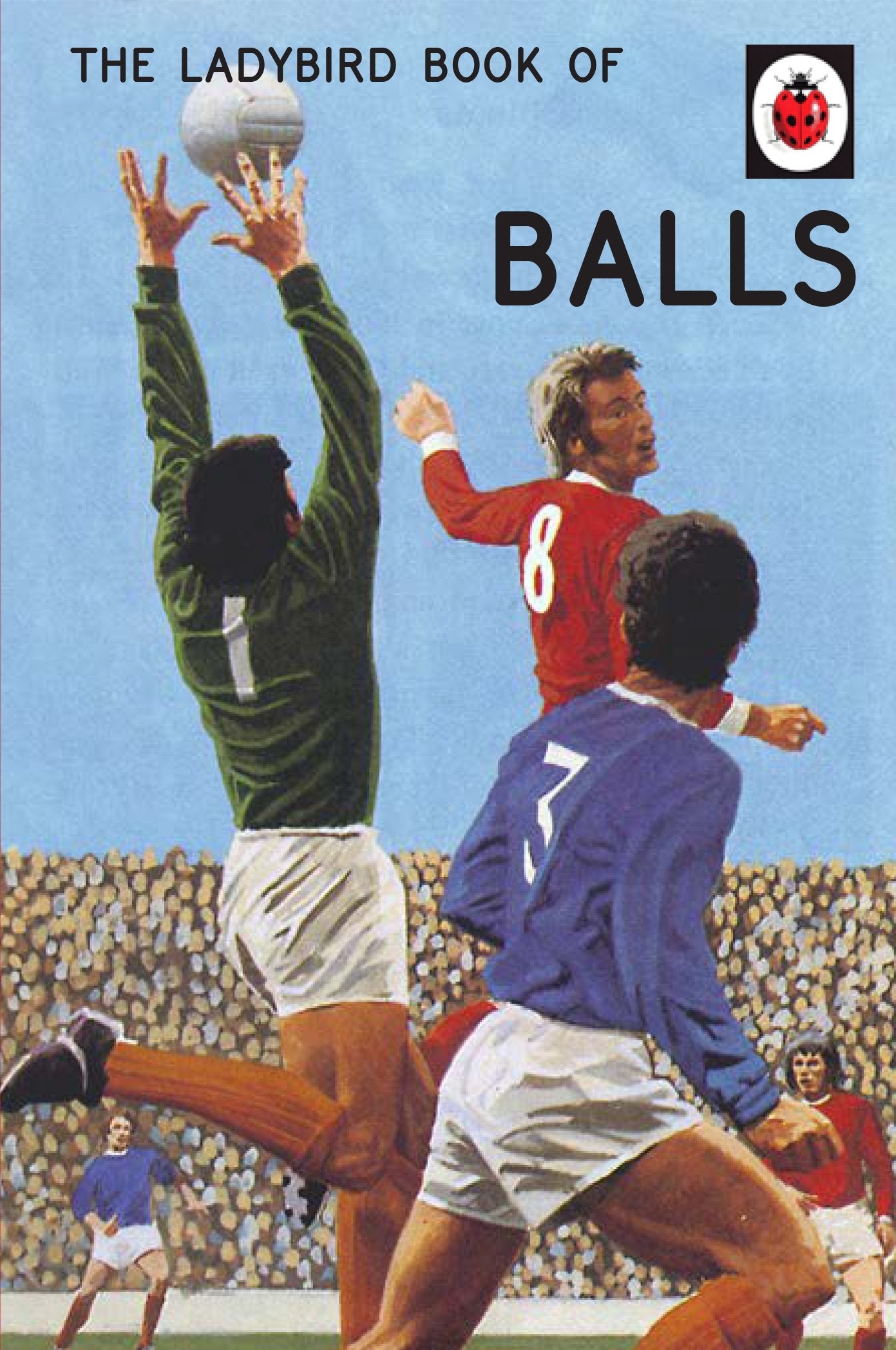 The Ladybird Book of Balls (Ladybird for GrownUps),Used