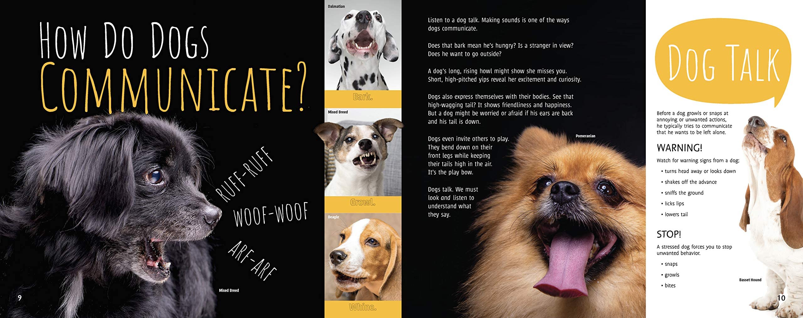Woof! The Truth About Dogs by Annette Whipple  Fun Facts, Photographs, Illustrations, & All Your Questions Answered  For Ages 7,Used
