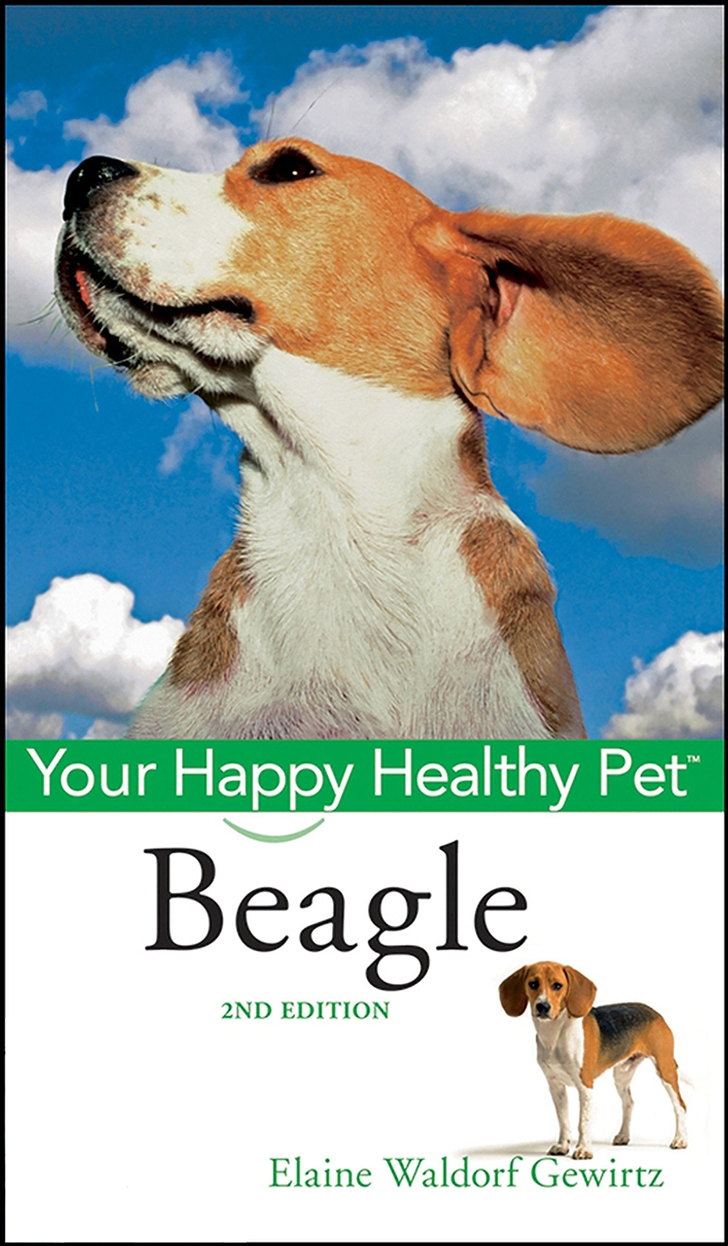 Beagle: Your Happy Healthy Pet (Your Happy Healthy Pet, 151)