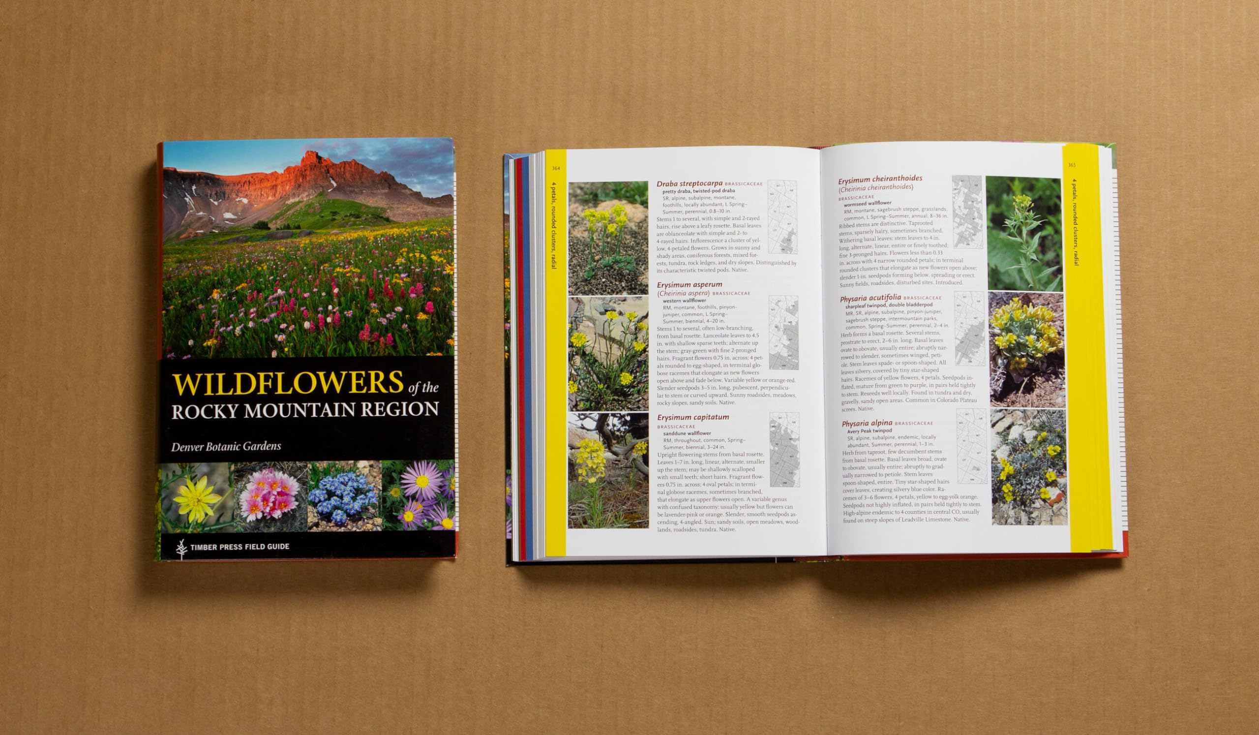 Wildflowers of the Rocky Mountain Region (A Timber Press Field Guide),Used
