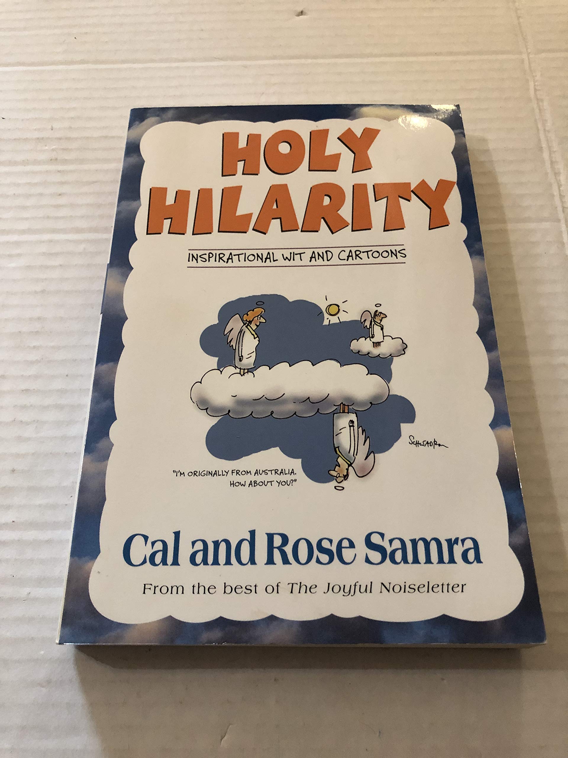 Holy Hilarity (The Holy Humor Series),Used