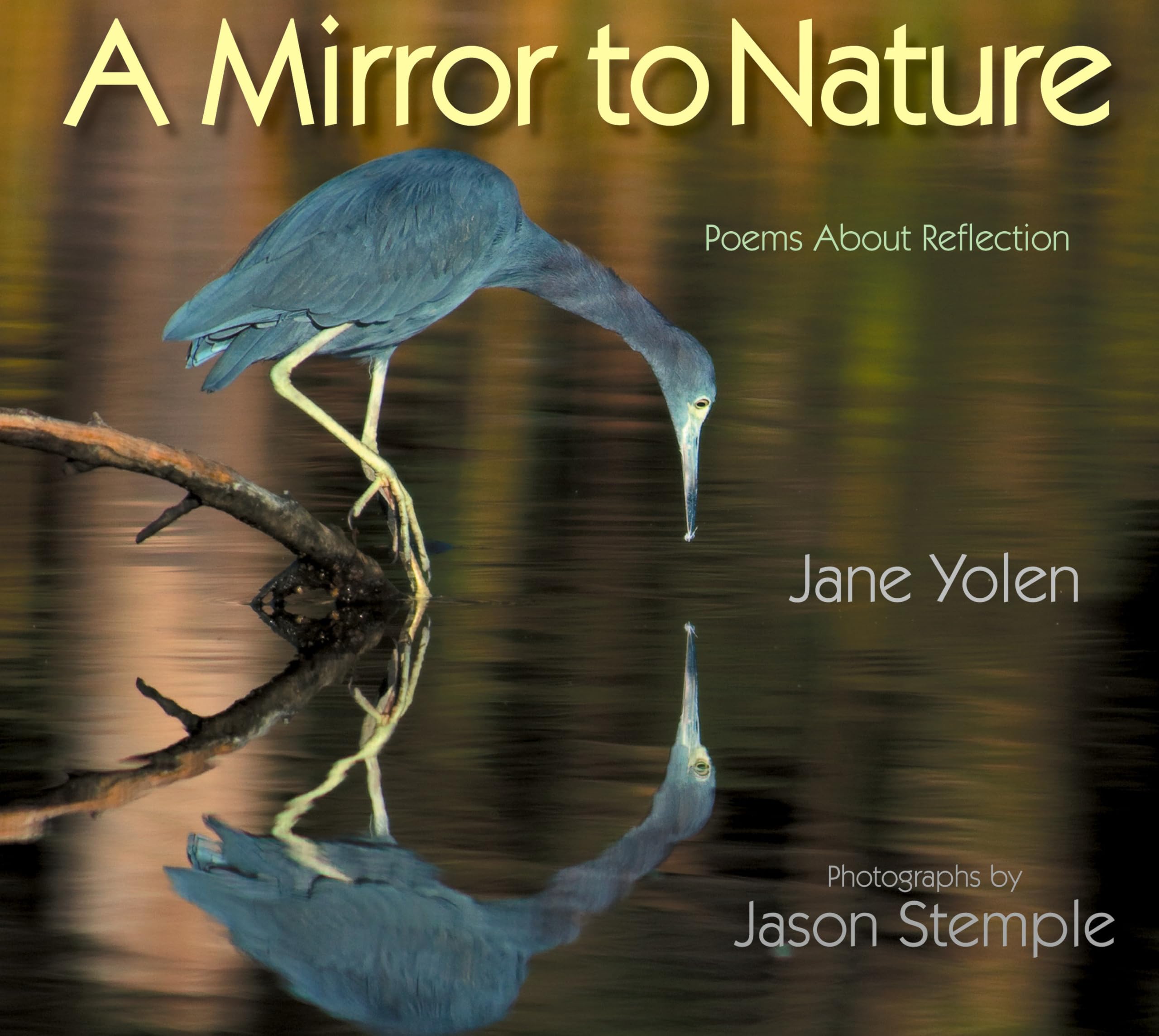 A Mirror to Nature: Poems about Reflection,Used
