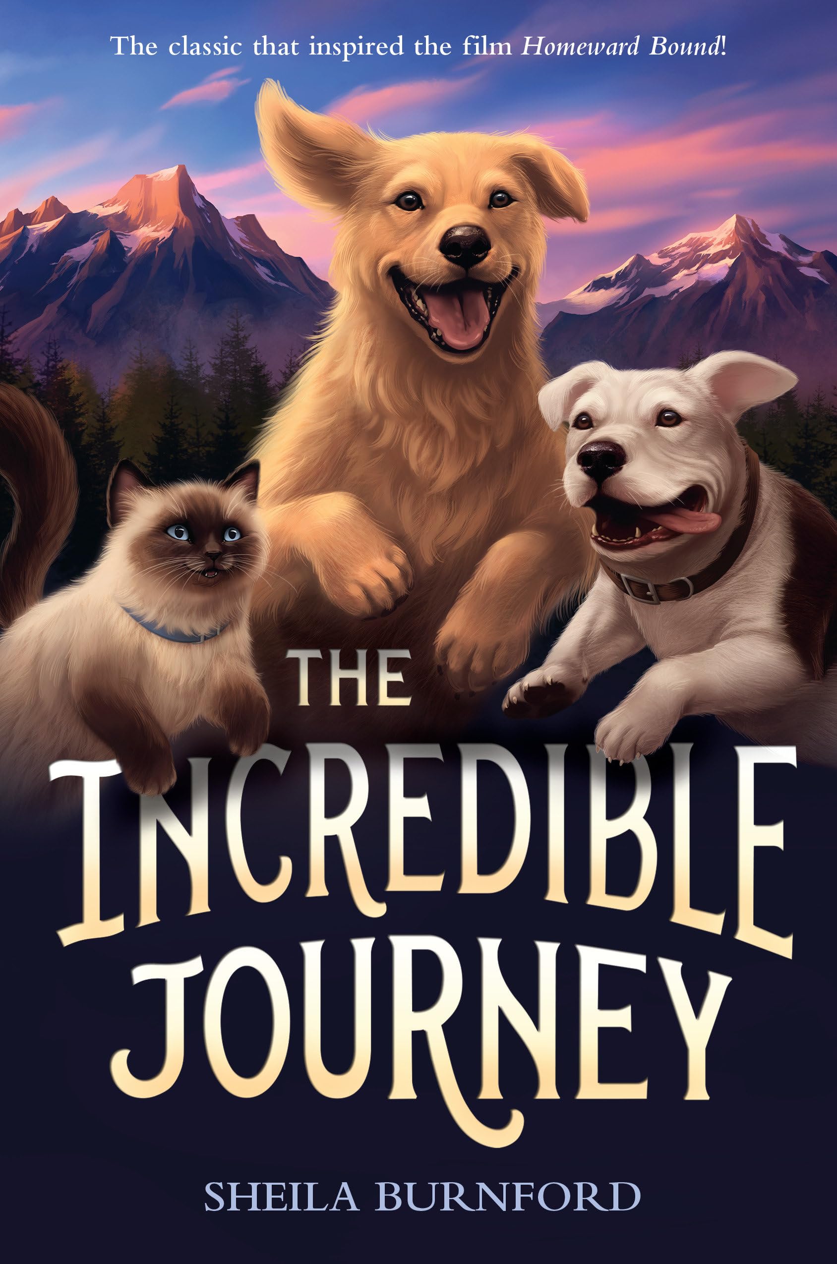 The Incredible Journey,Used