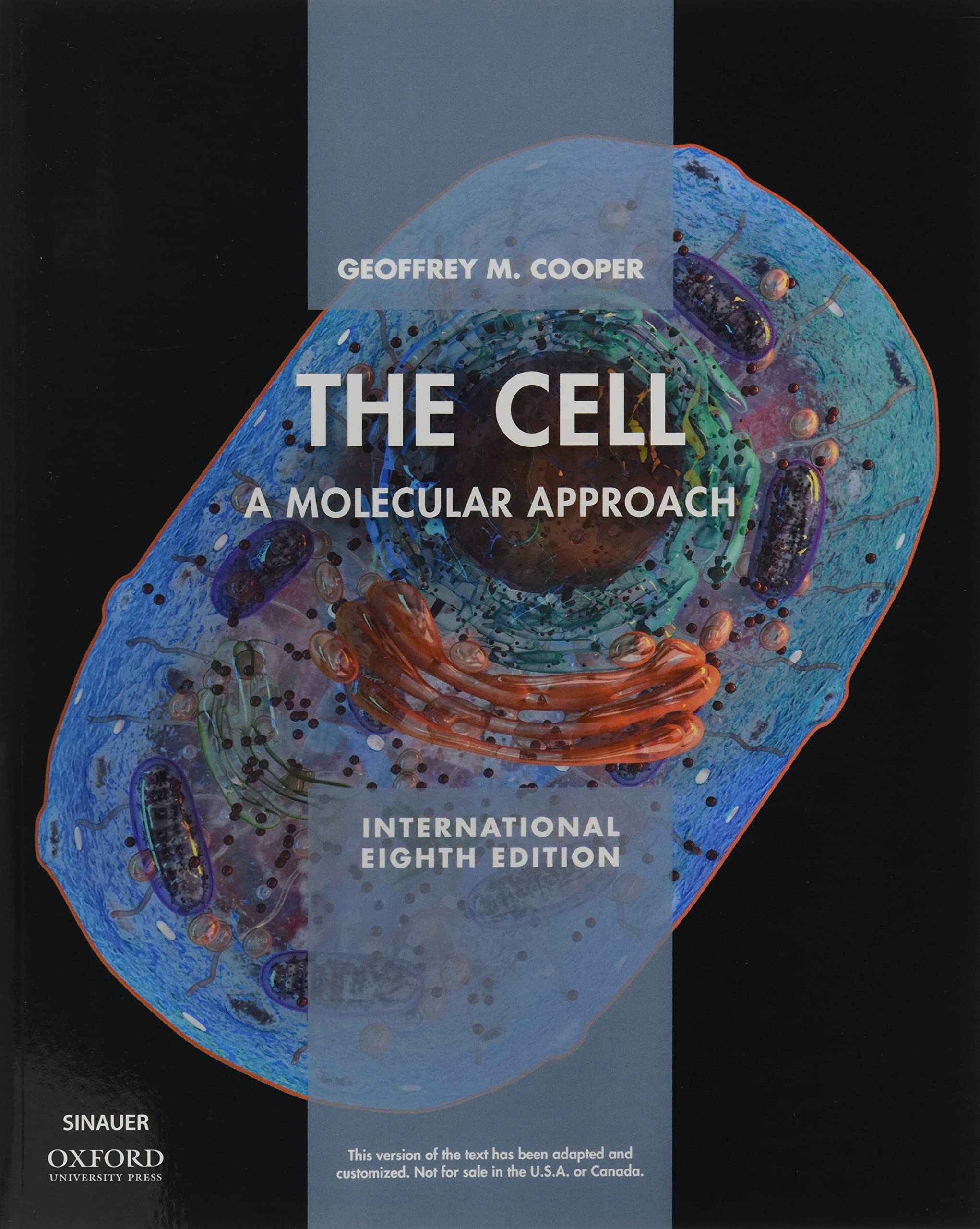 The Cell XE: A Molecular Approach,Used