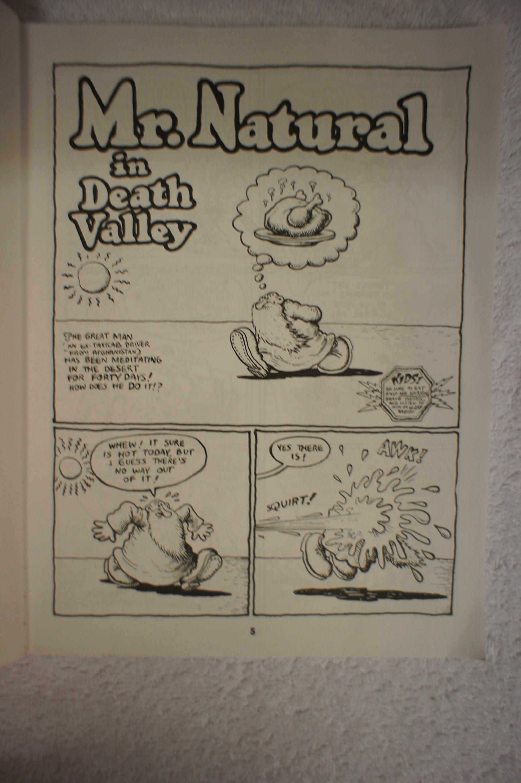 Book of Mr. Natural,Used
