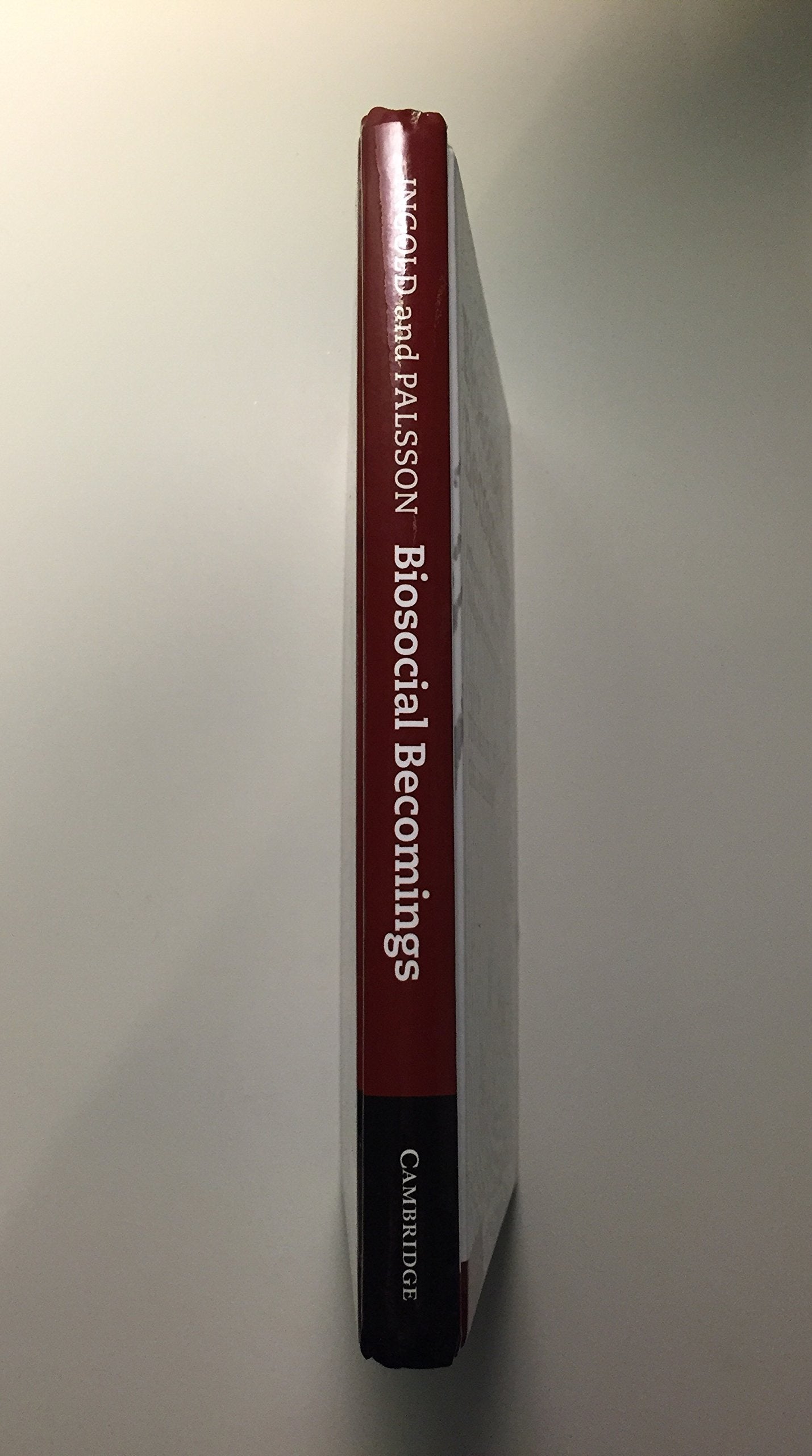 Biosocial Becomings: Integrating Social and Biological Anthropology,Used