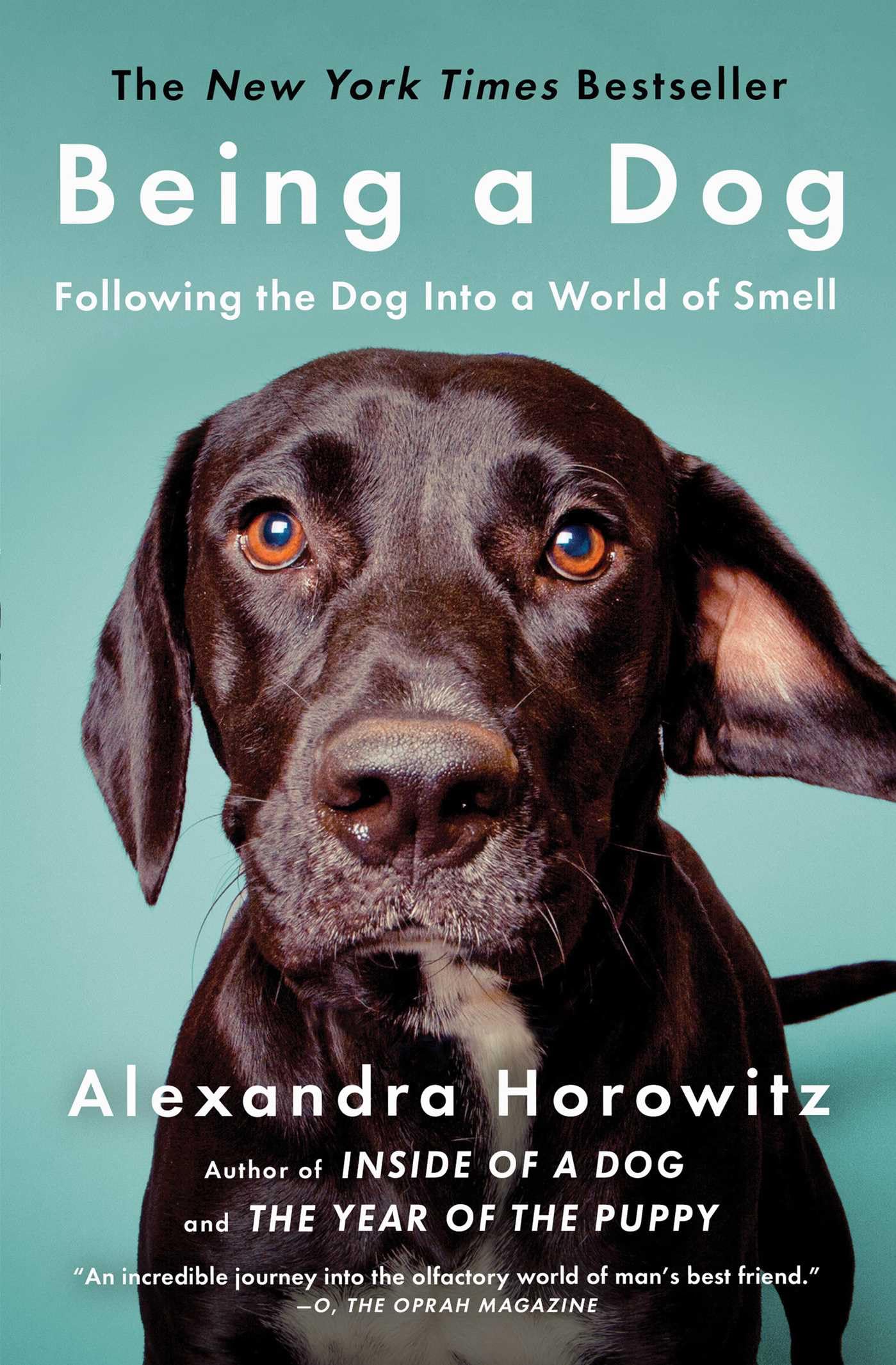 Being a Dog: Following the Dog Into a World of Smell,Used
