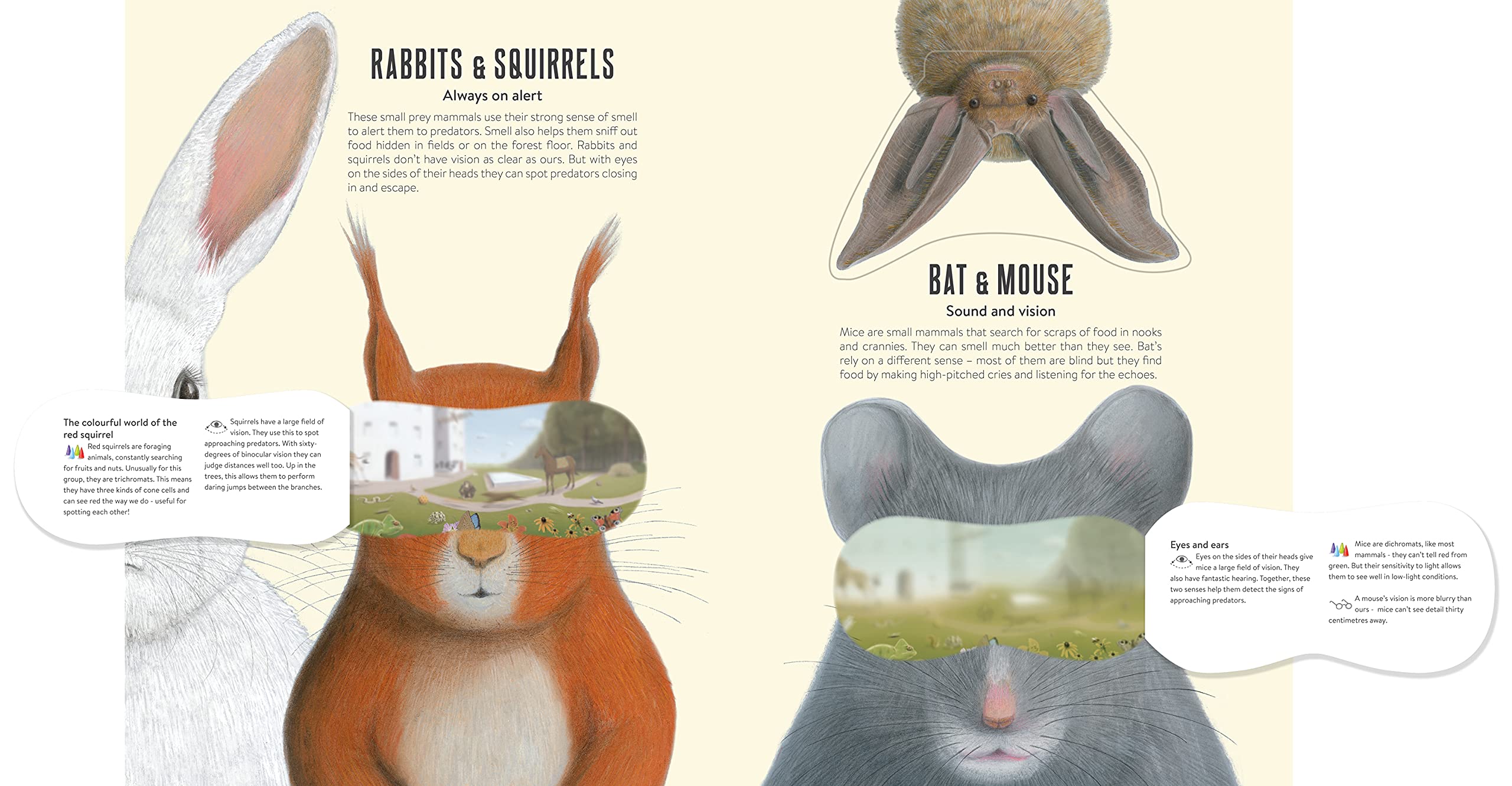 Eye Spy: Wild Ways Animals See the World,Used