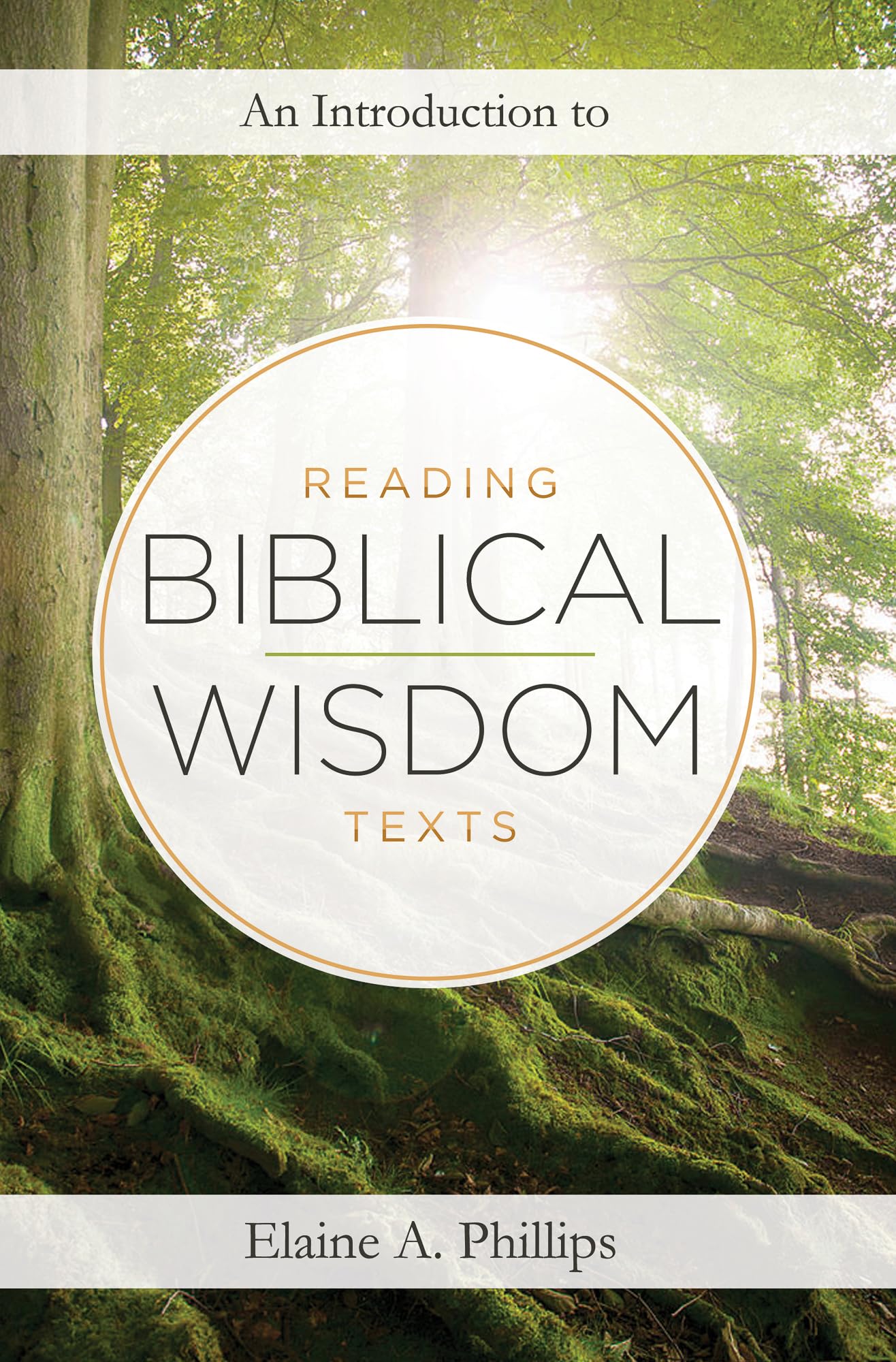 An Introduction to Reading Biblical Wisdom Texts,Used
