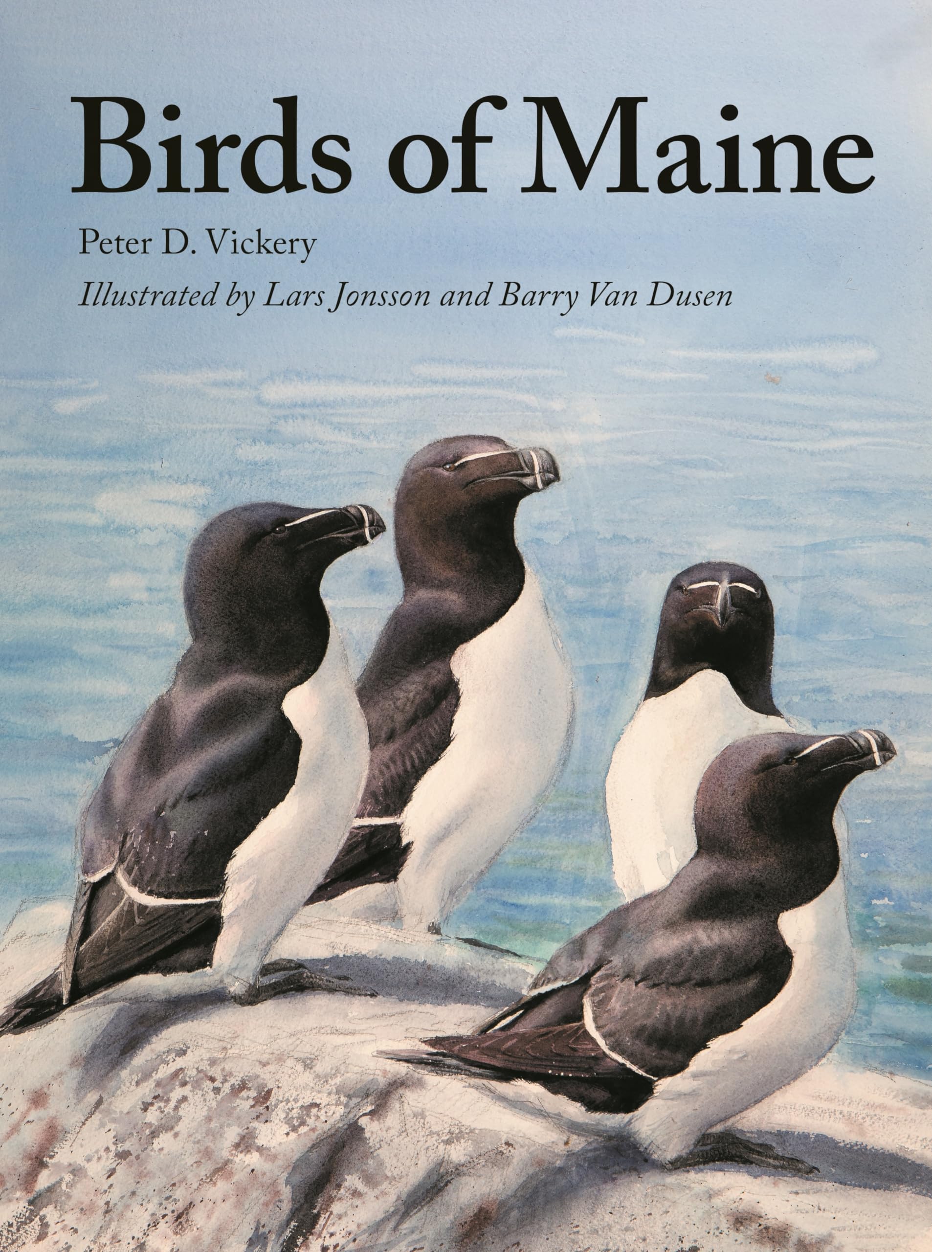 Birds of Maine,Used