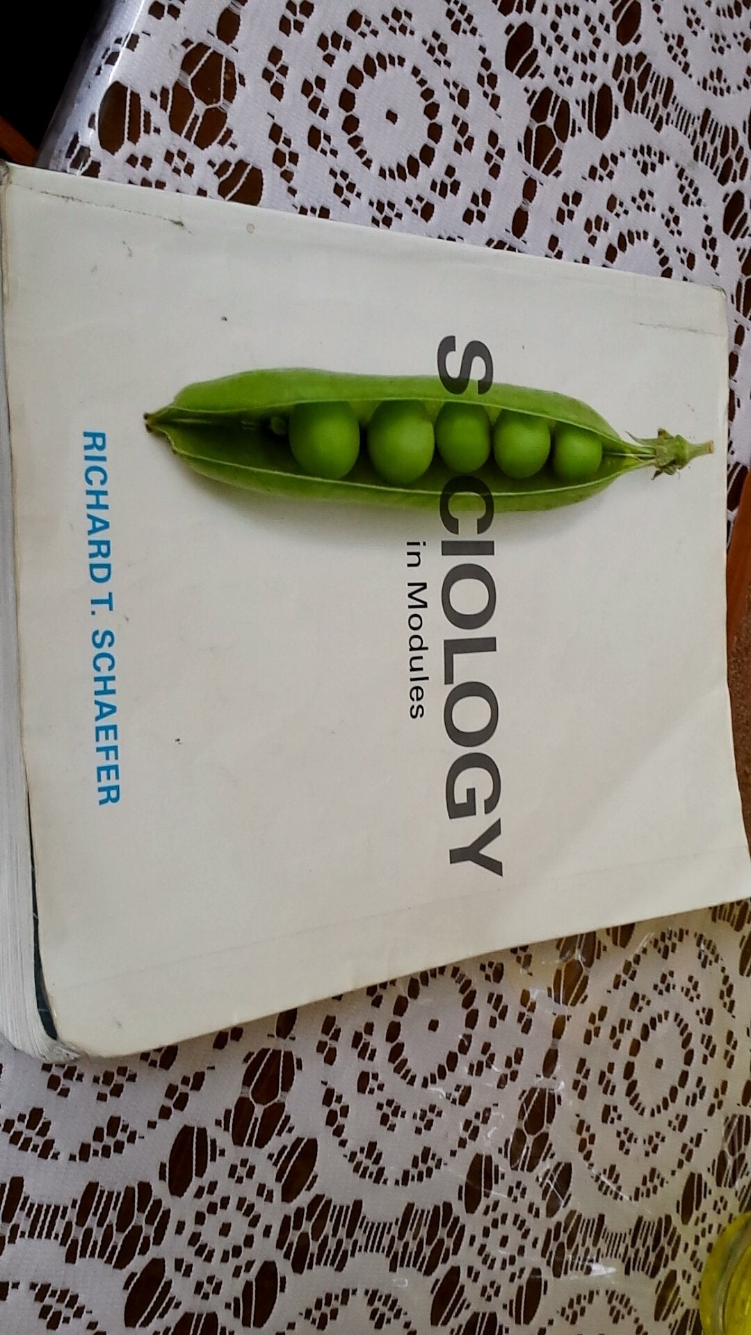 Sociology In Modules,New