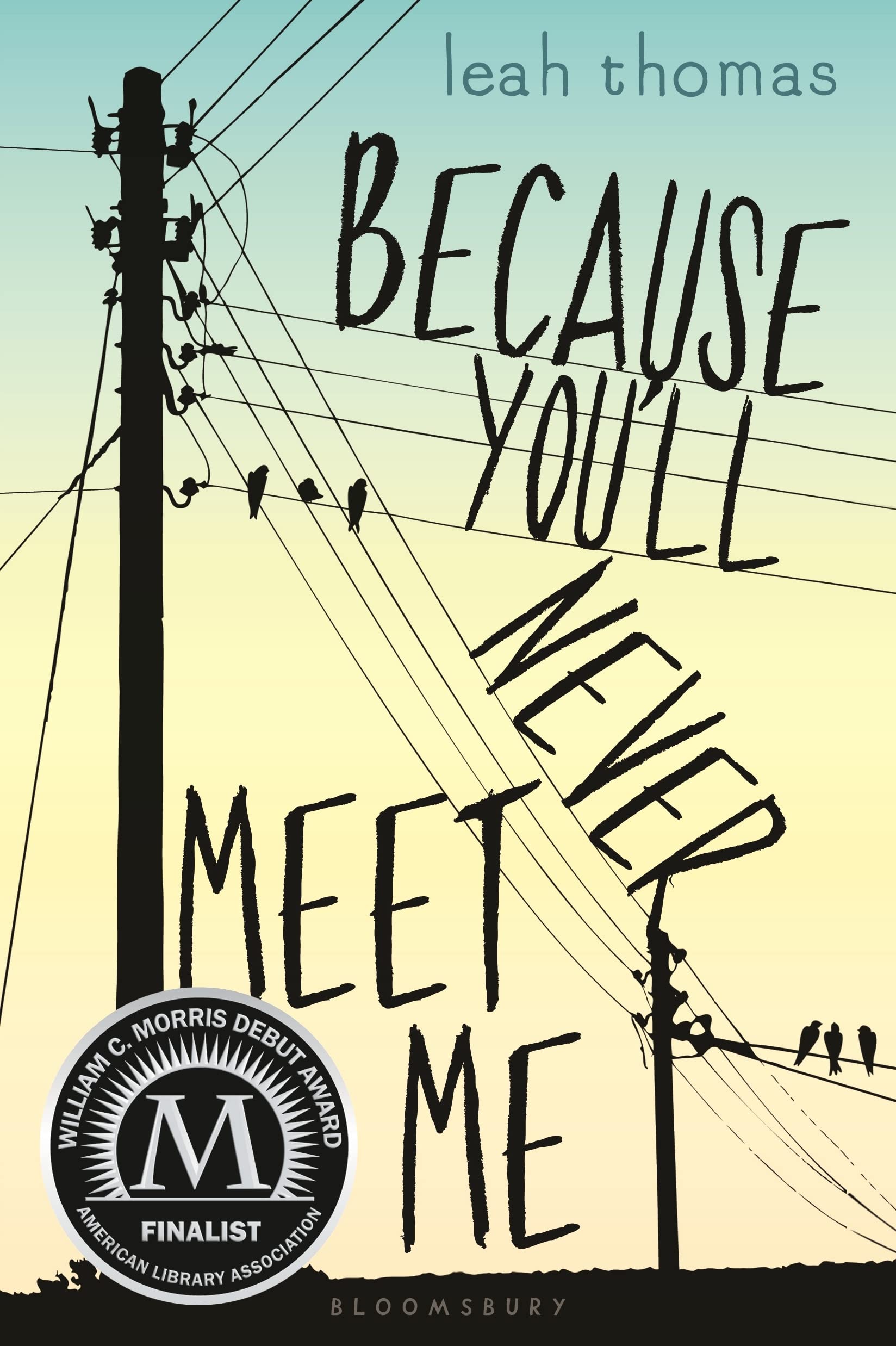 Because You'll Never Meet Me,Used
