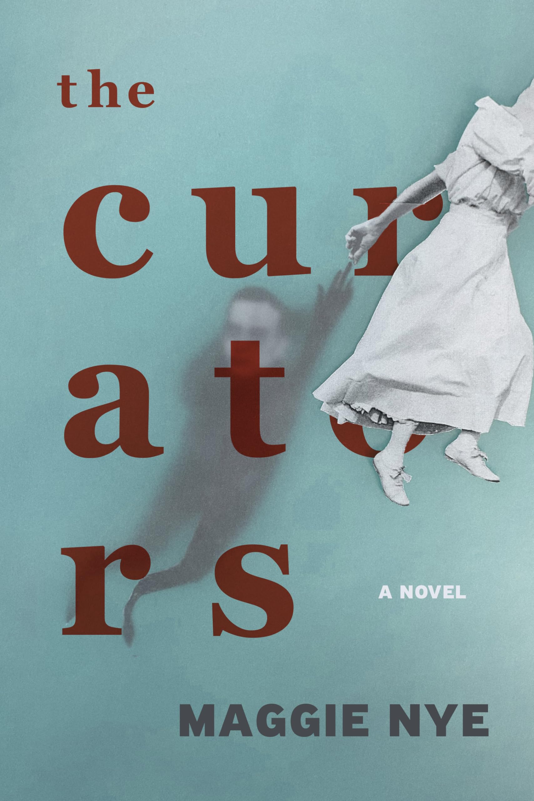 The Curators: A Novel,Used