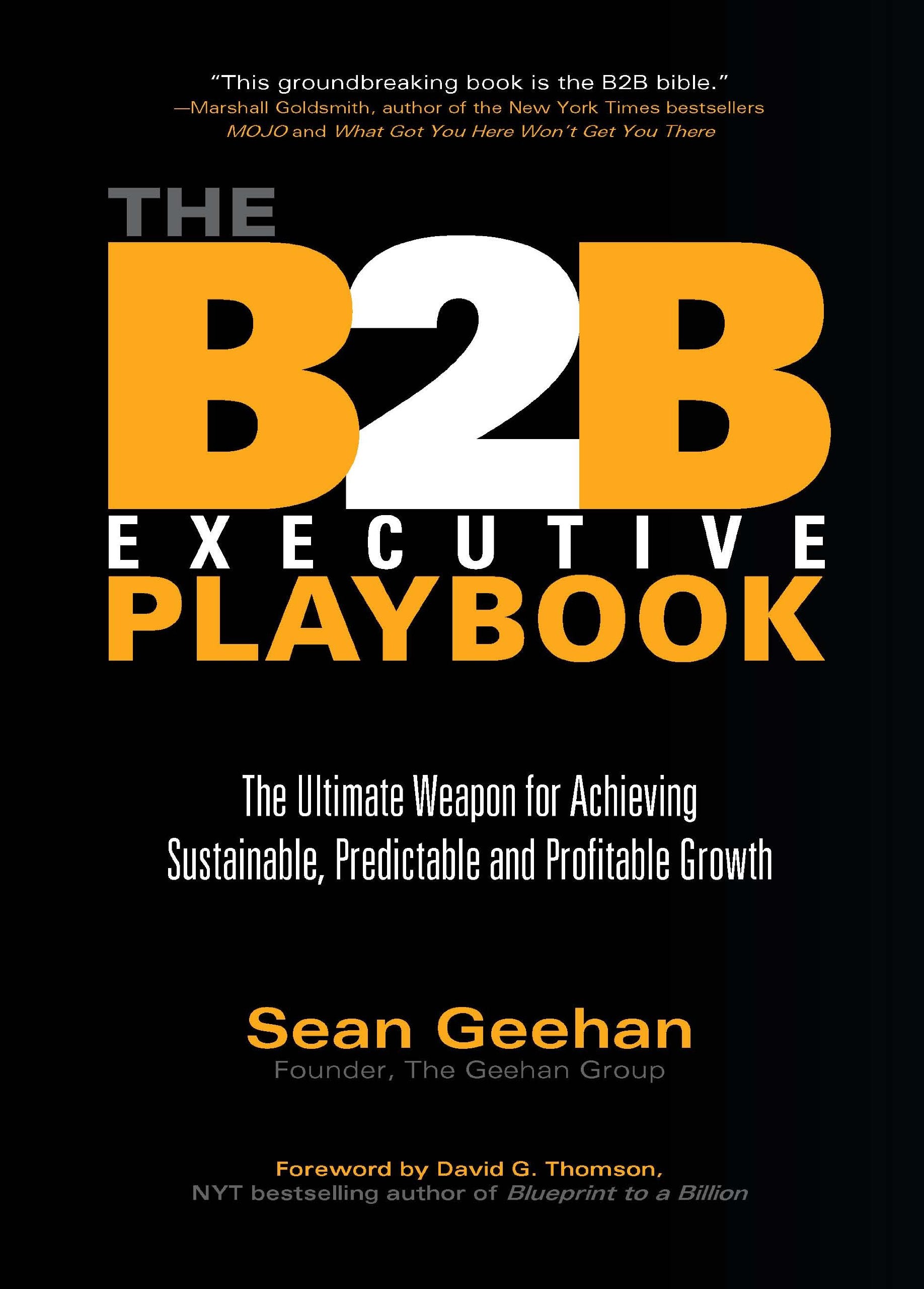 B2B Executive Playbook: The Ultimate Weapon For Achieving Sustainable, Predictable And Profitable Growth,Used