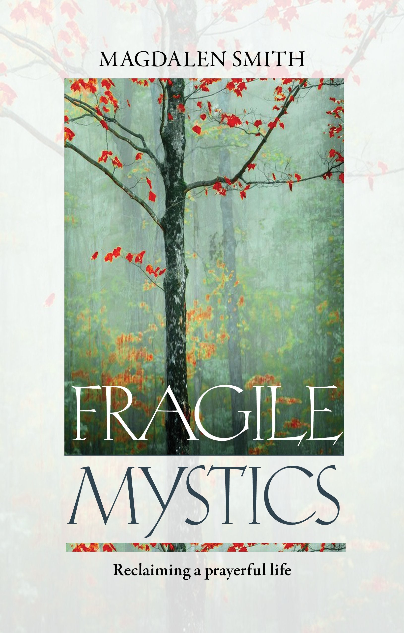 Fragile Mystics,Used