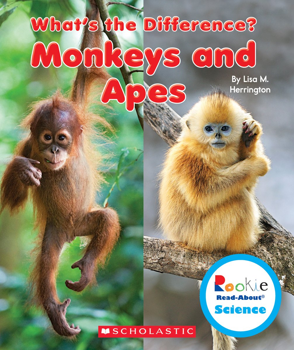 Monkeys and Apes (Rookie ReadAbout Science: What's the Difference?),Used