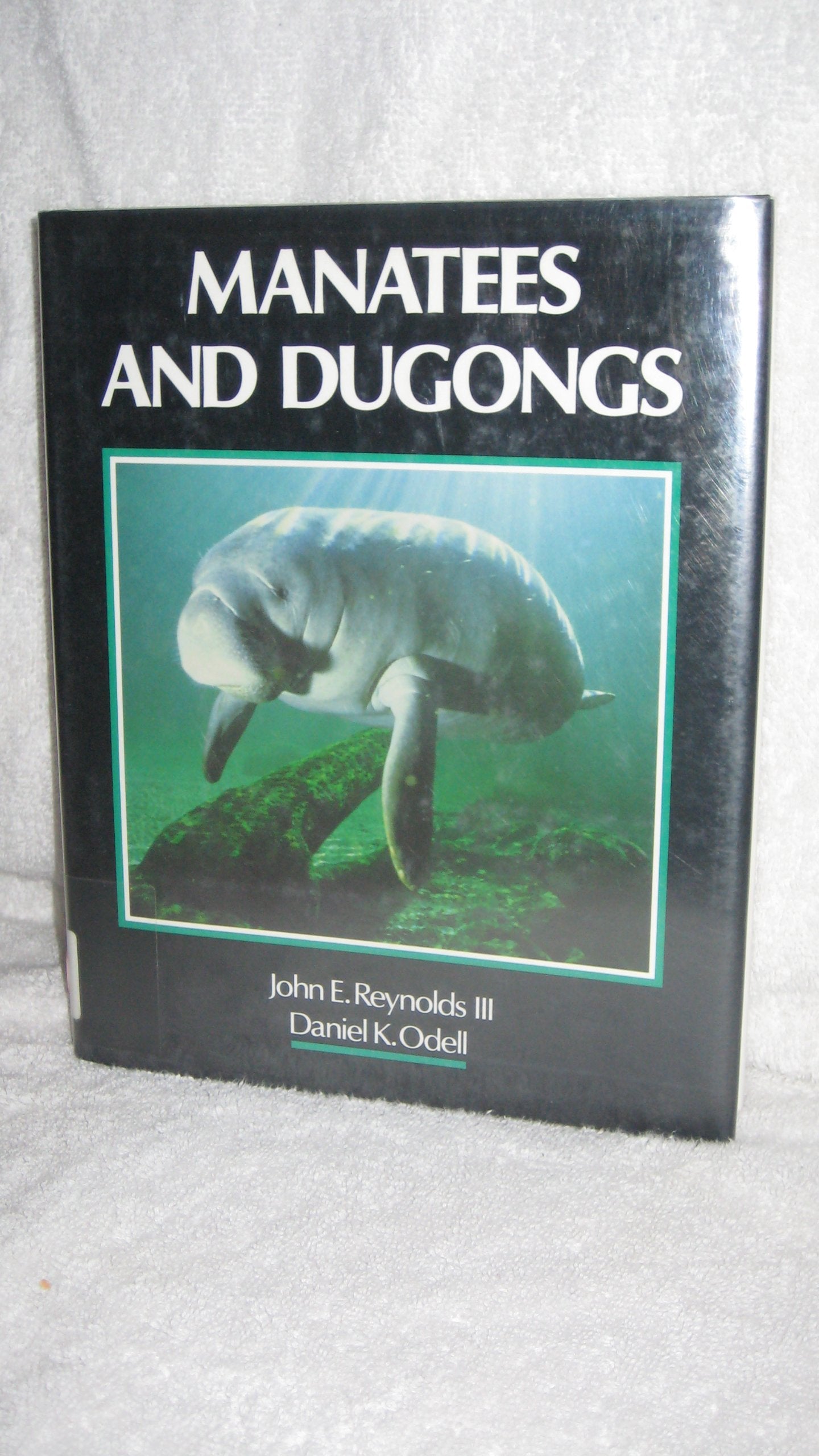 Manatees And Dugongs,New