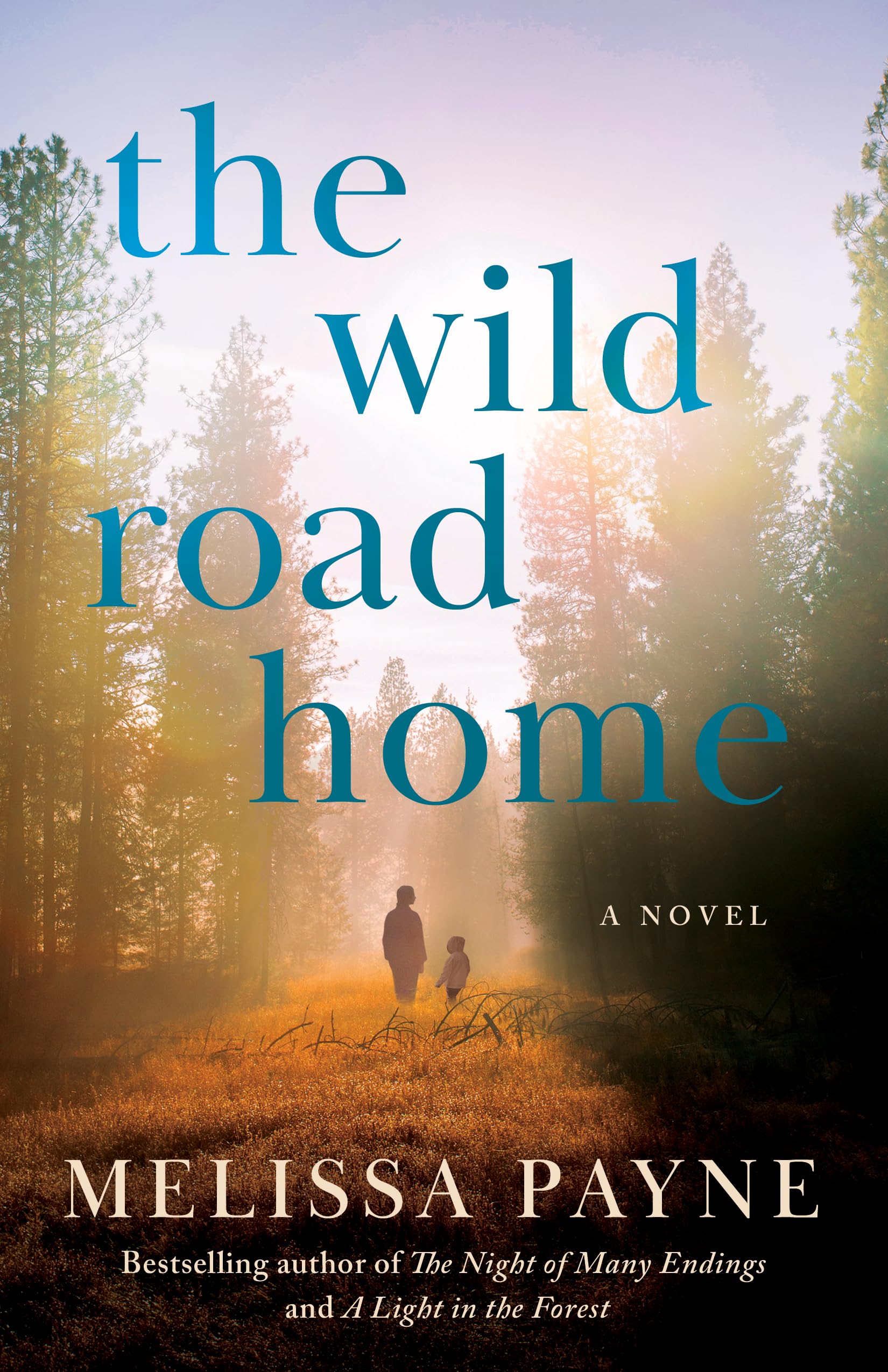 The Wild Road Home: A Novel,Used