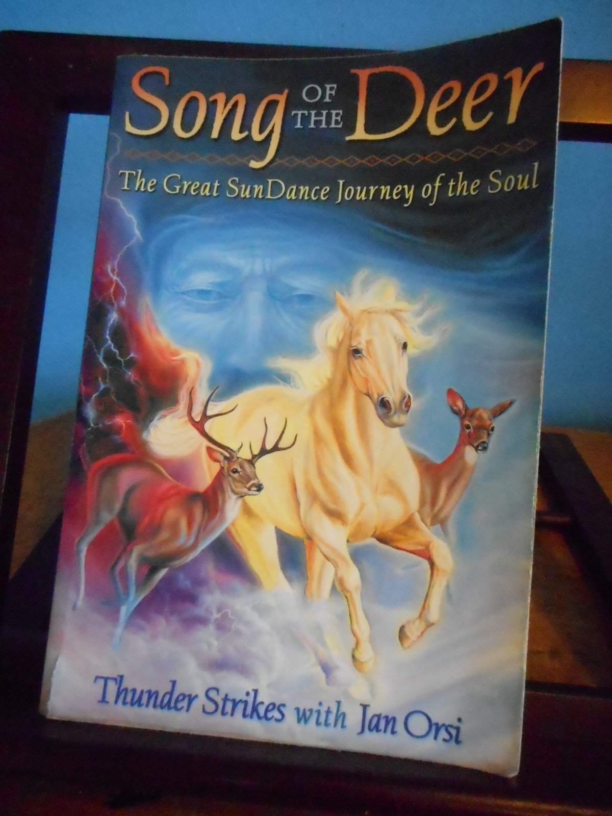 Song Of The Deer: The Great Sundance Journey Of The Soul,Used
