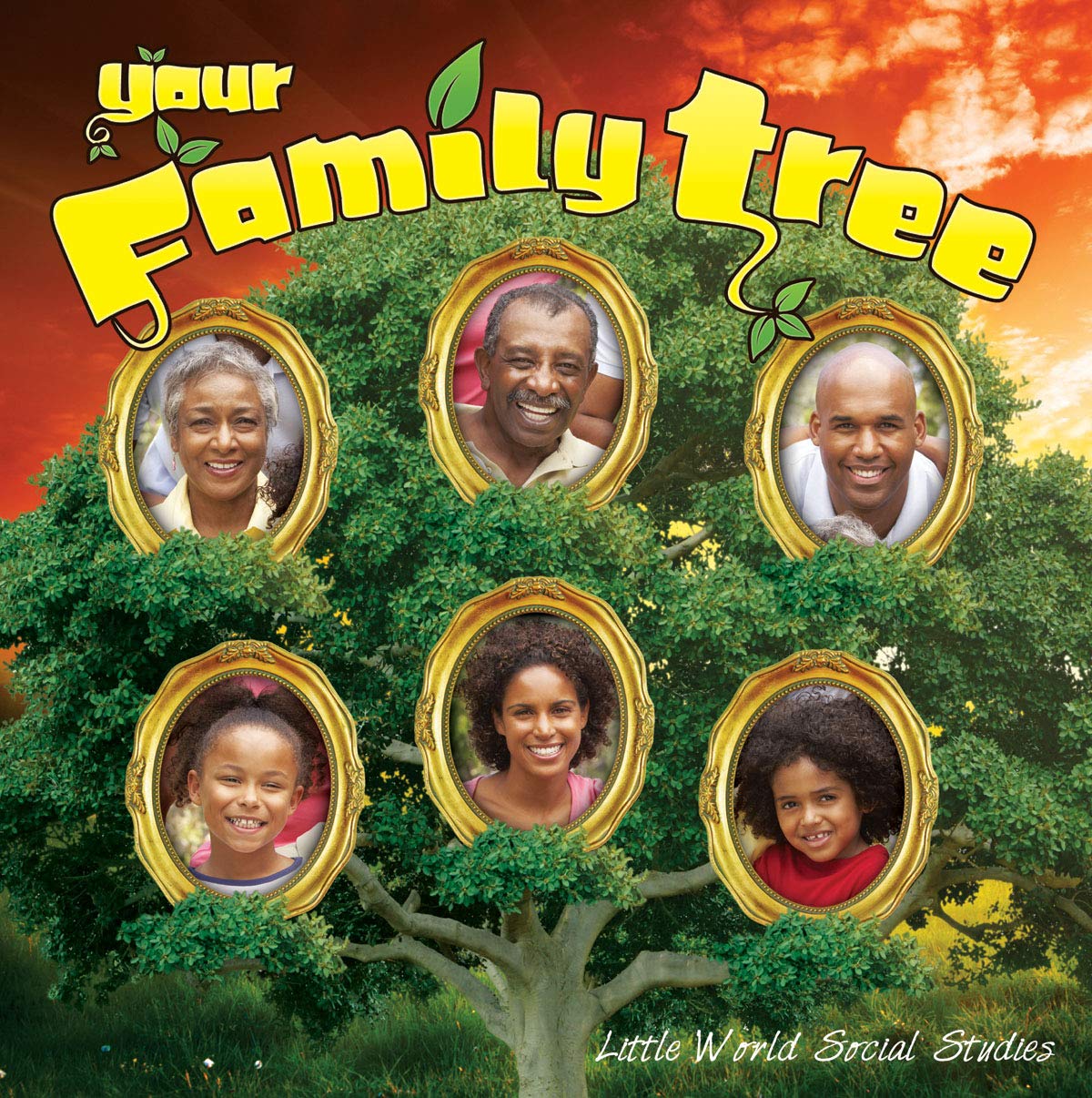 Rourke Educational Media Your Family Tree (Little World Social Studies),Used