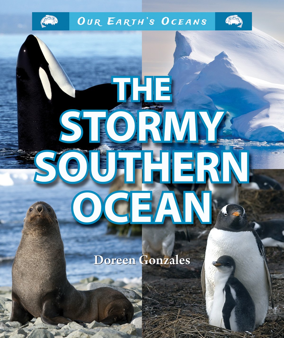 The Stormy Southern Ocean (Our Earth's Oceans),Used