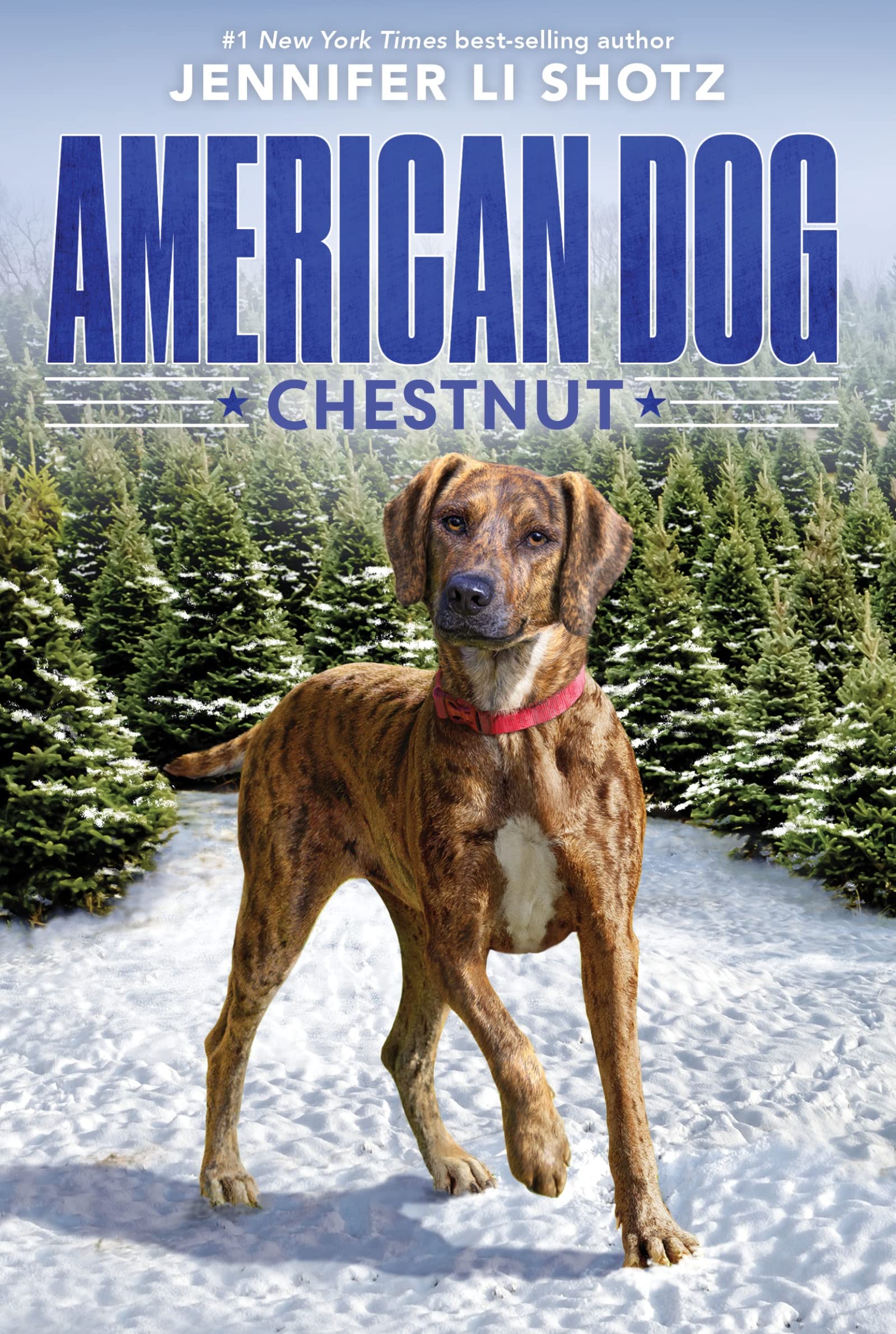 Chestnut (American Dog),Used