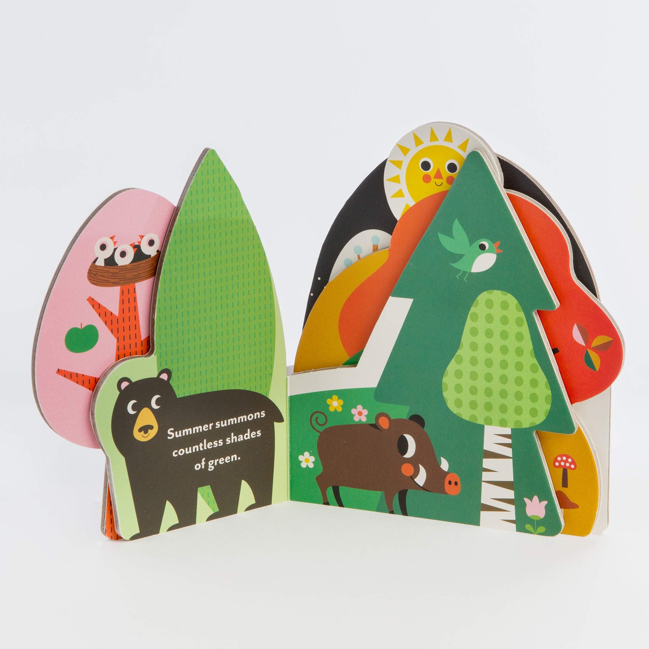 Bookscape Board Books: A Forest's Seasons: (Colorful Children?s Shaped Board Book, Forest Landscape Toddler Book),Used