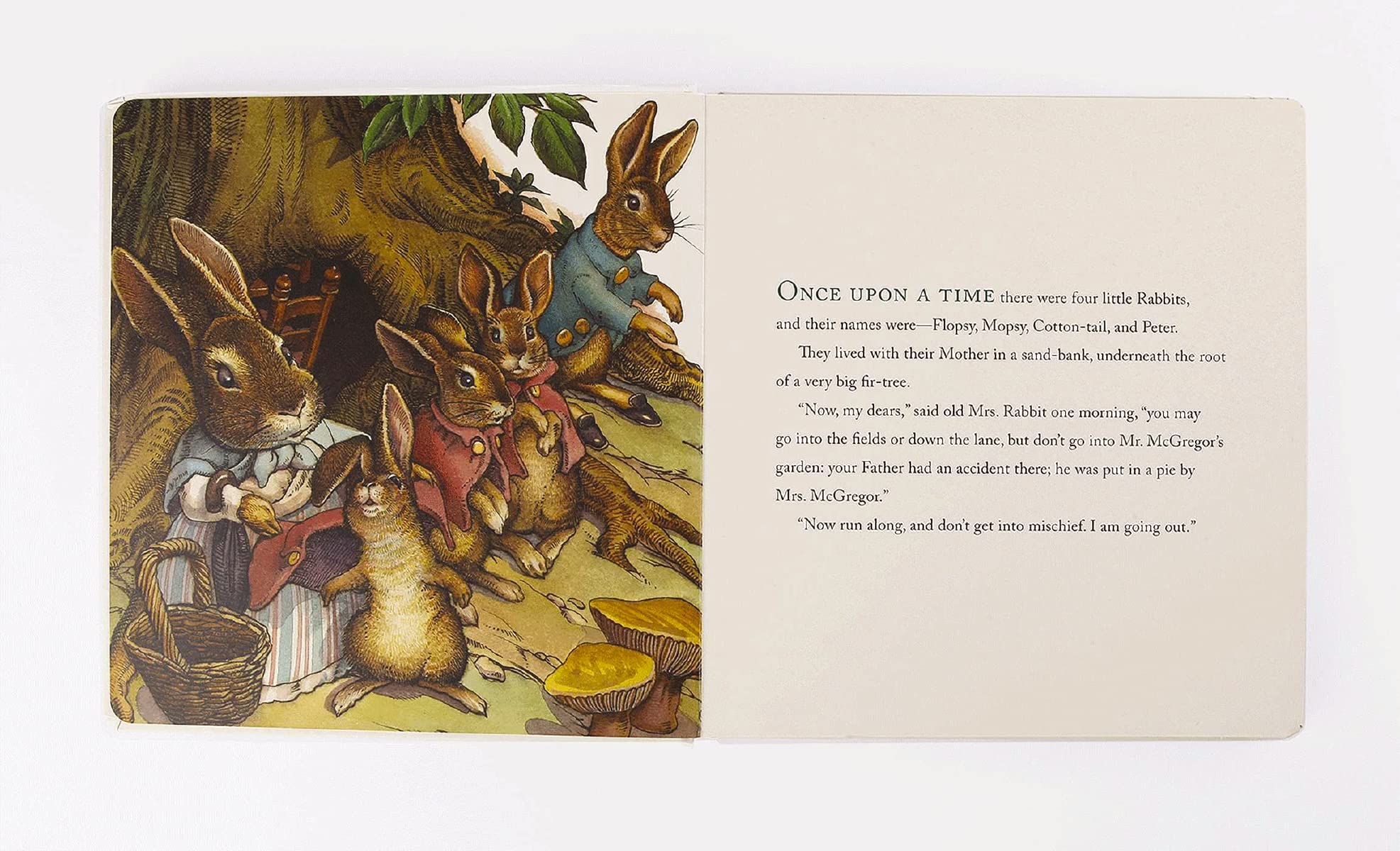The Classic Tale of Peter Rabbit Oversized Padded Board Book: The Classic Edition (13) (Oversized Padded Board Books),Used