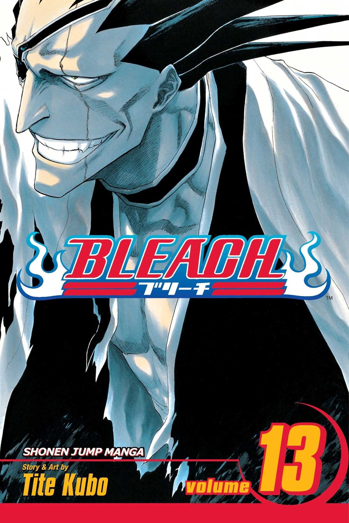 Bleach, Vol. 13,Used