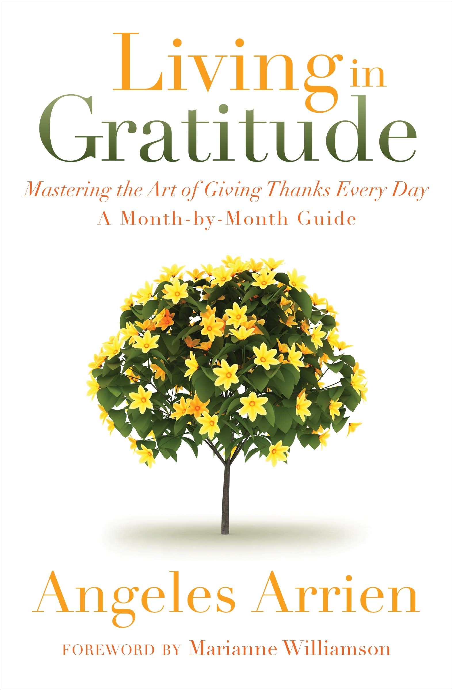 Living in Gratitude: Mastering the Art of Giving Thanks Every Day, A MonthbyMonth Guide,Used