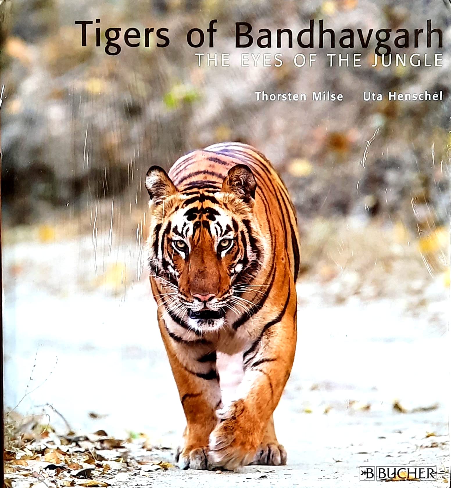 The Eyes of the Jungle,Used