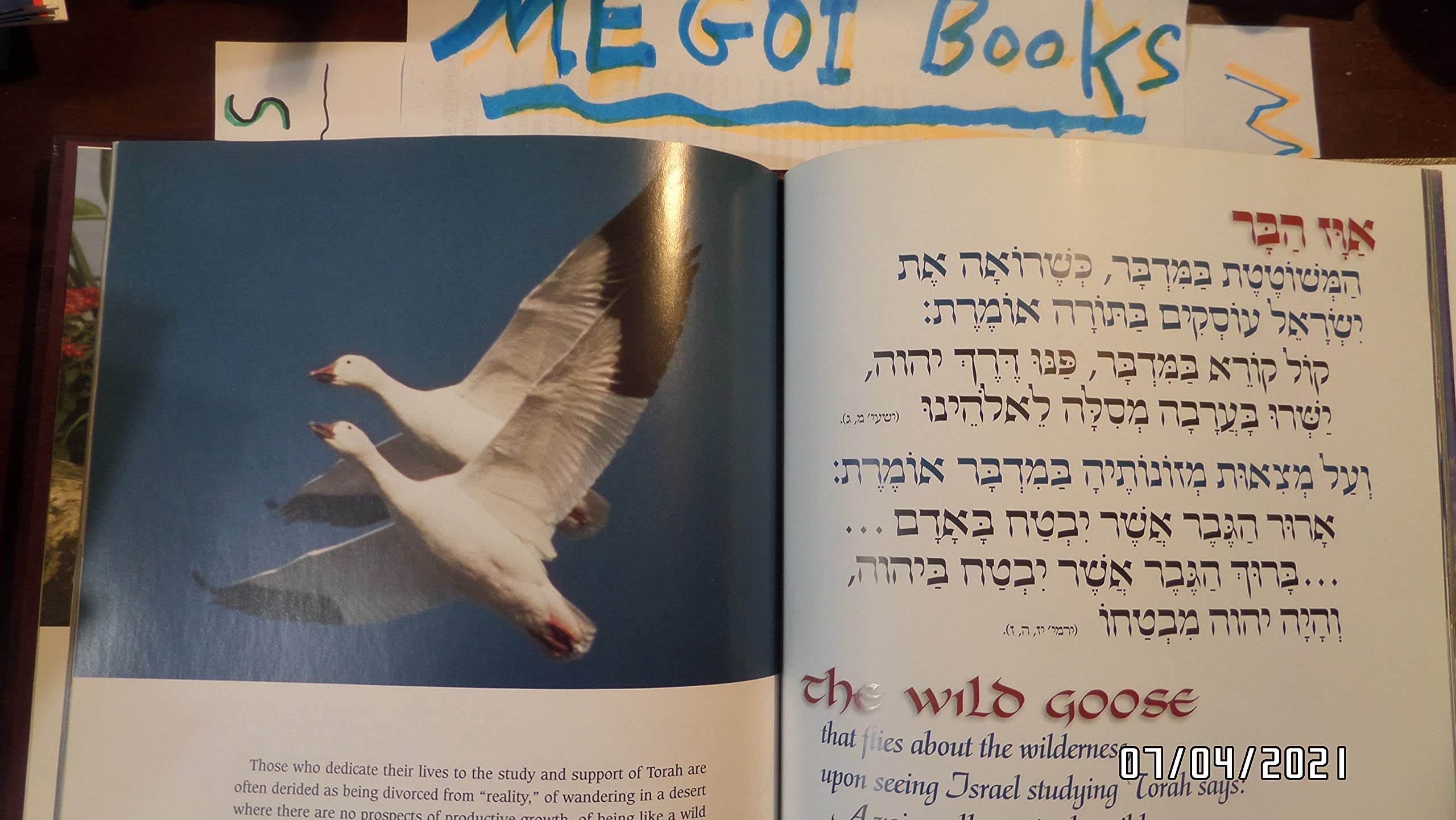 Perek Shirah The Song of the Universe Full Size (Hebrew Edition),Used