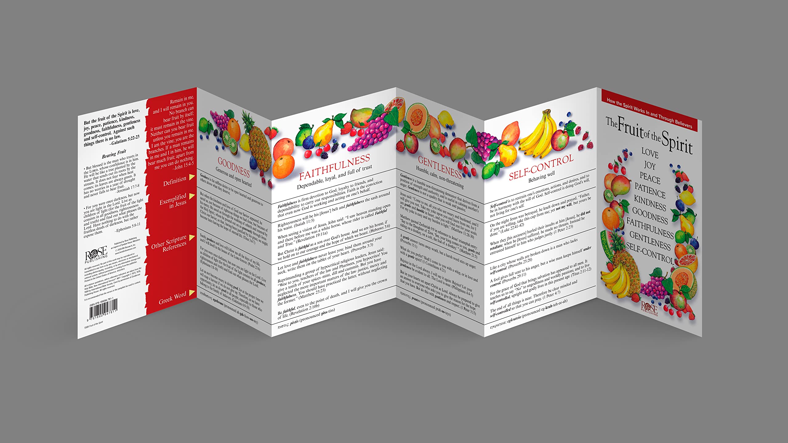 The Fruit of the Spirit: How the Spirit Works in and Through Believers,New
