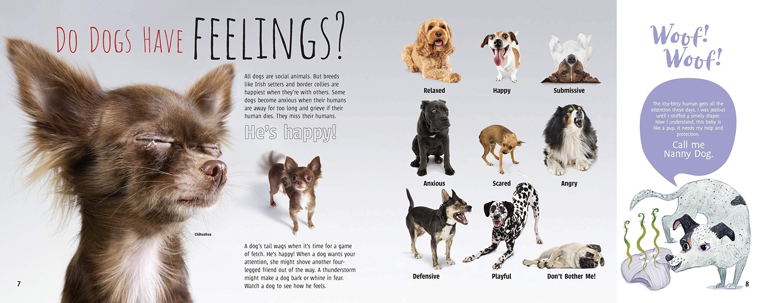 Woof! The Truth About Dogs by Annette Whipple  Fun Facts, Photographs, Illustrations, & All Your Questions Answered  For Ages 7,Used
