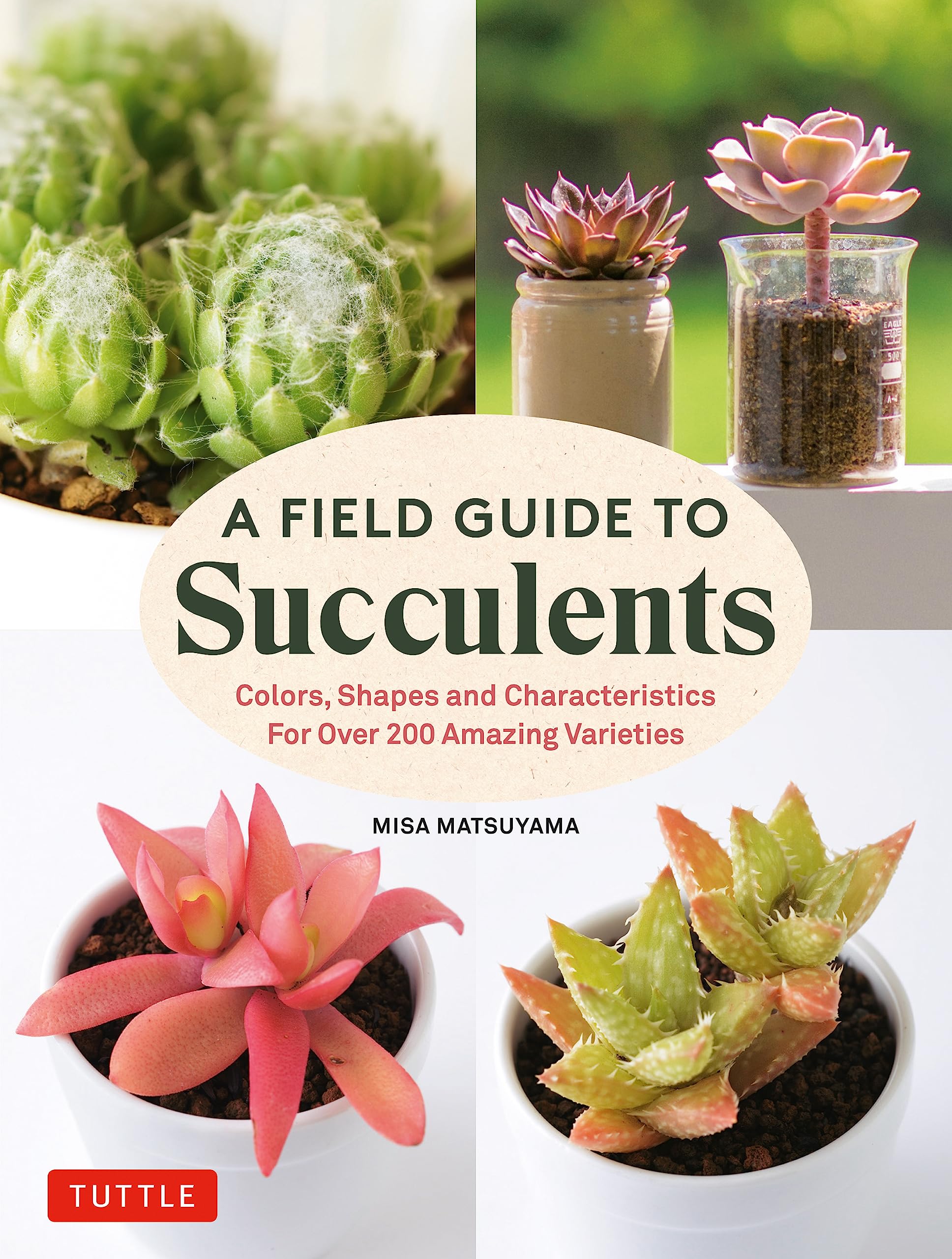 A Field Guide To Succulents: Forcolors, Shapes And Characteristics For Over 200 Amazing Varieties,New