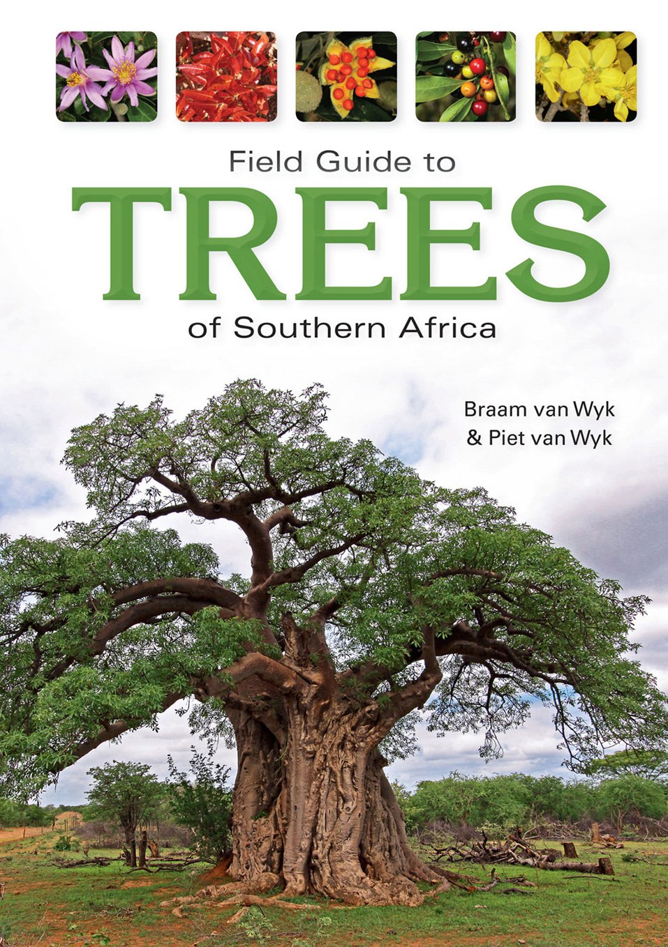 Field Guide to Trees of Southern Africa: An African Perspective (Field Guide To... (Struik Publishers)),New
