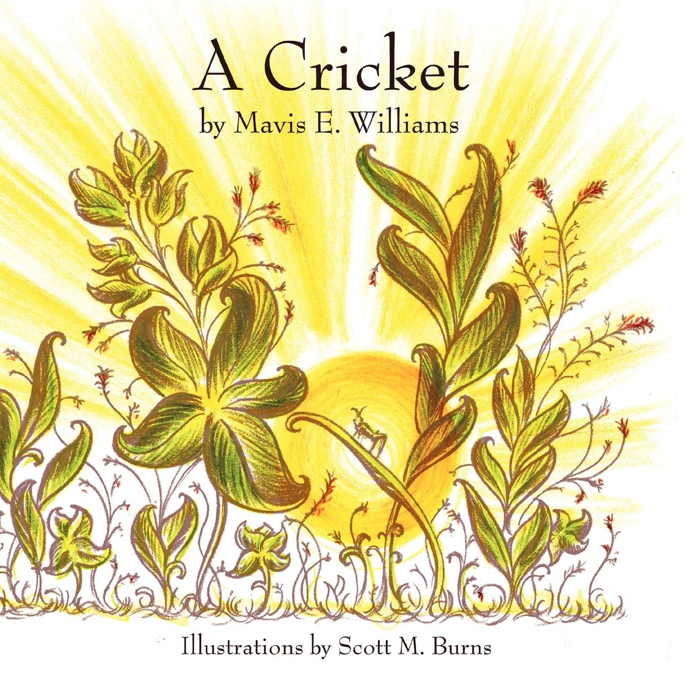 A Cricket,New