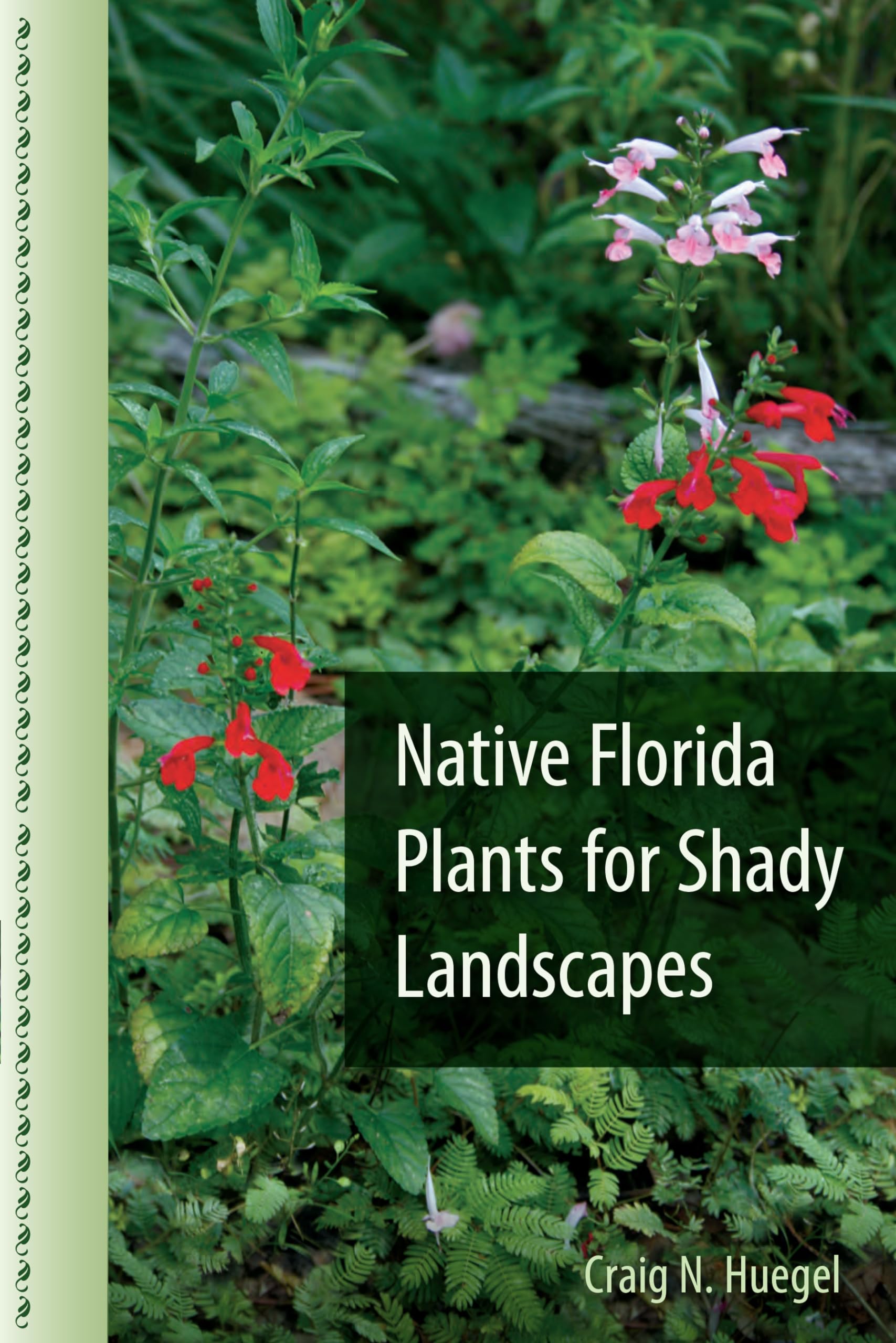 Native Florida Plants For Shady Landscapes,Used