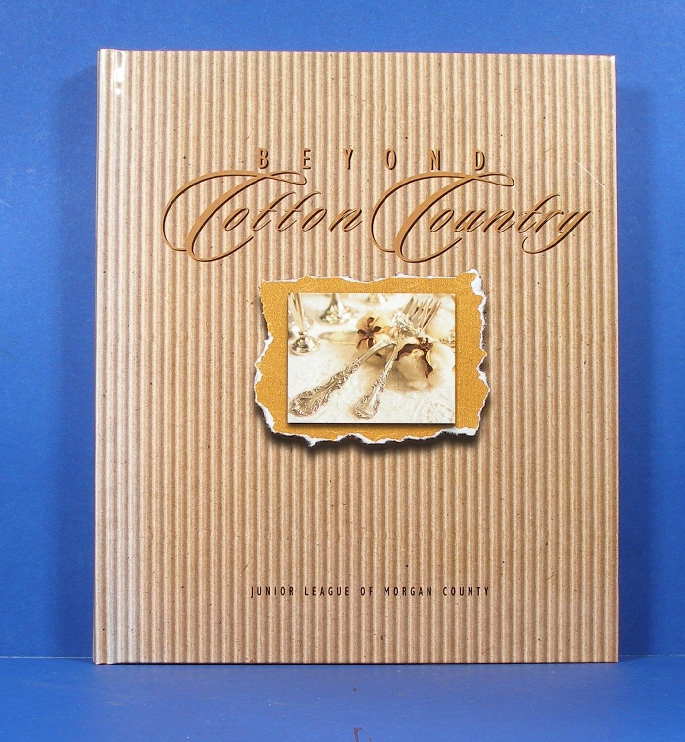 Beyond Cotton Country,Used