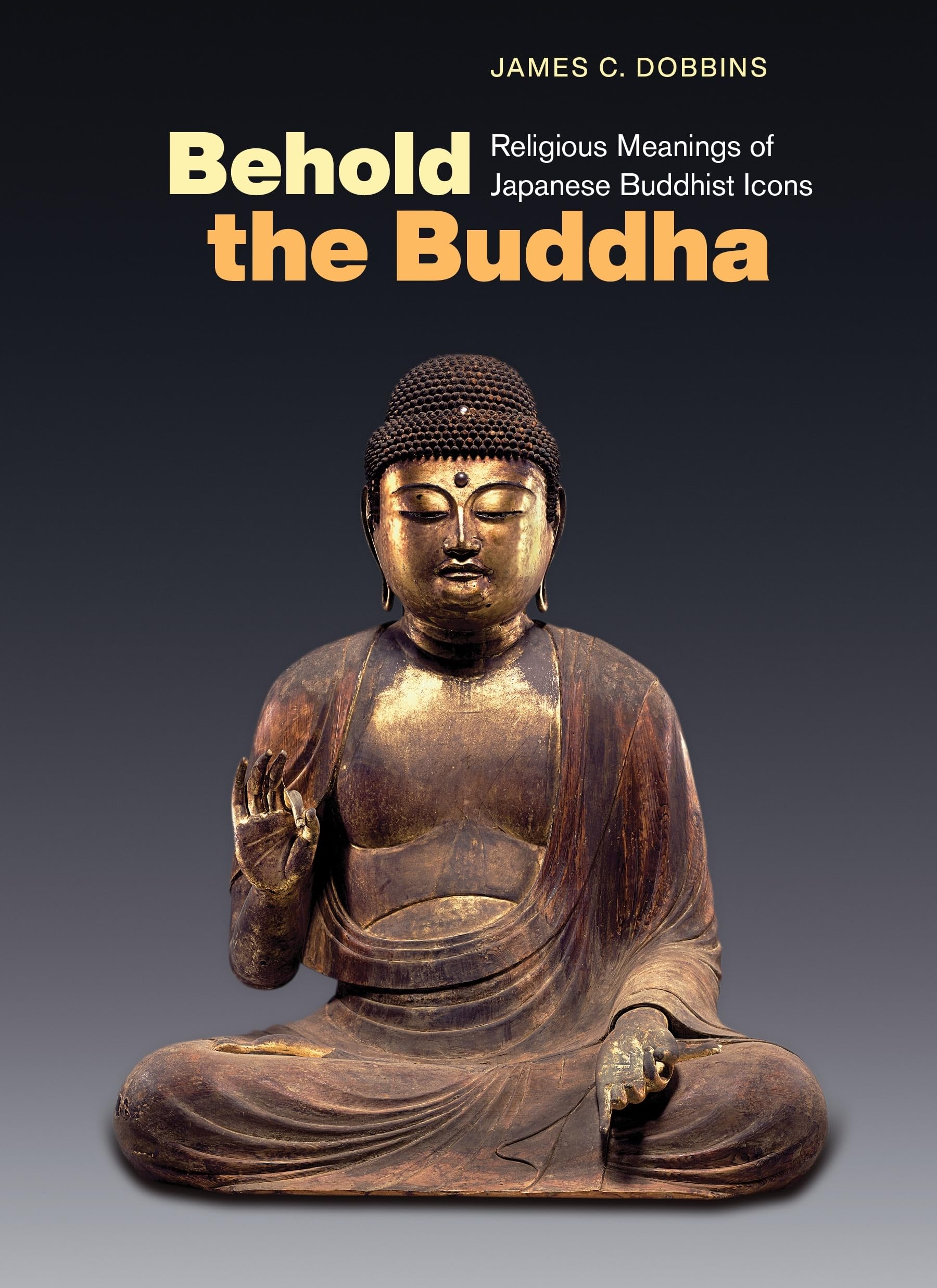 Behold the Buddha: Religious Meanings of Japanese Buddhist Icons,Used